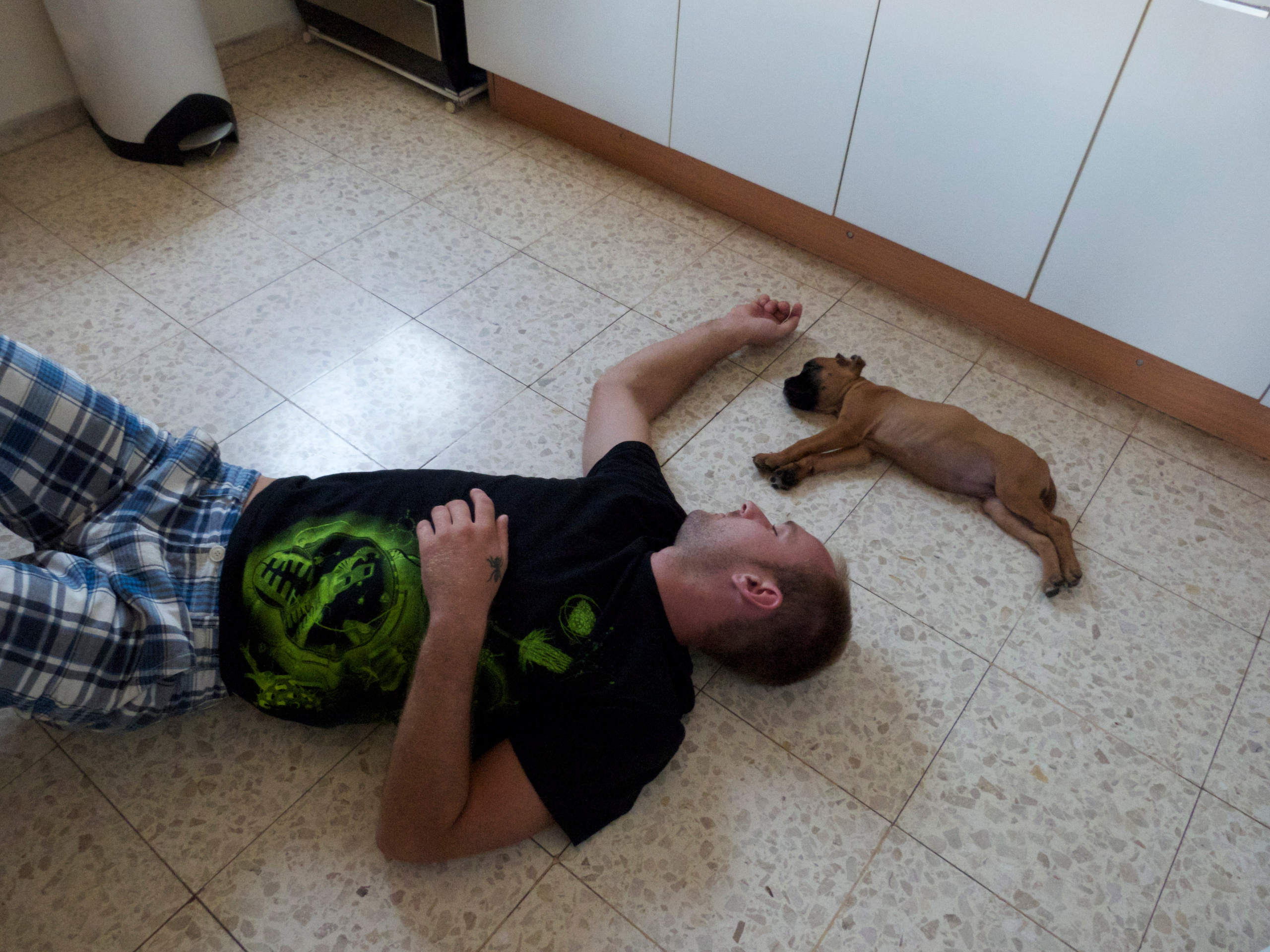 My ״Star״ Boxer Dog