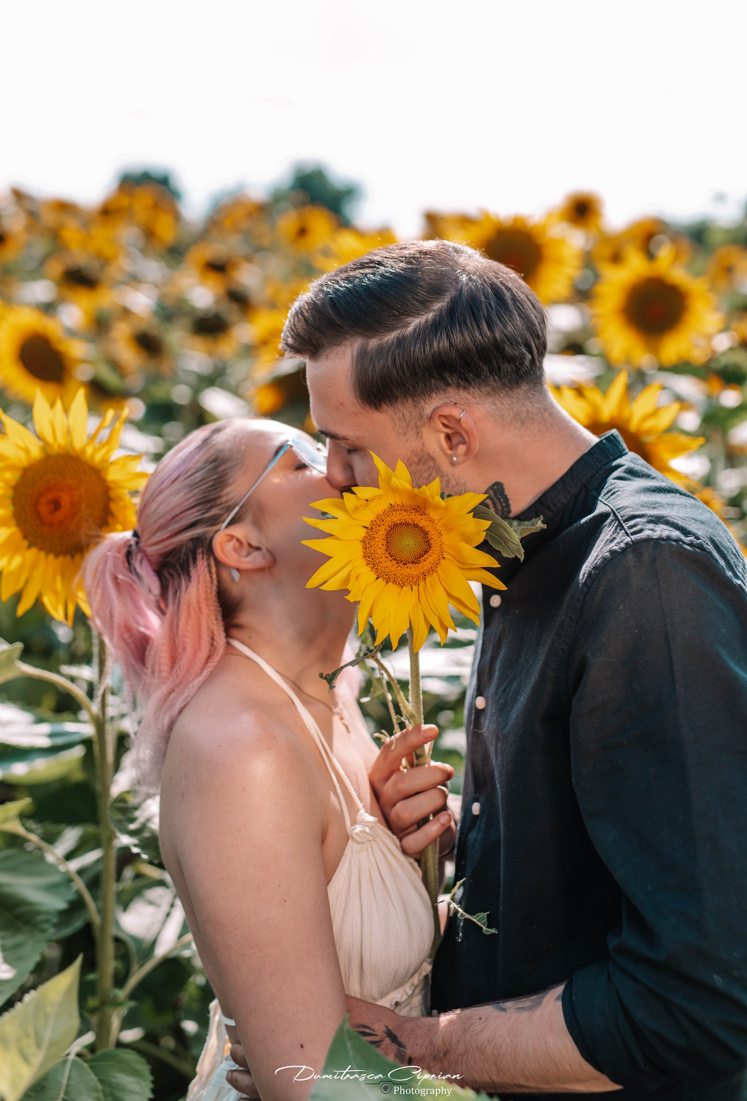 Two souls in love among sunflowers. Dumitrasca Ciprian Photography