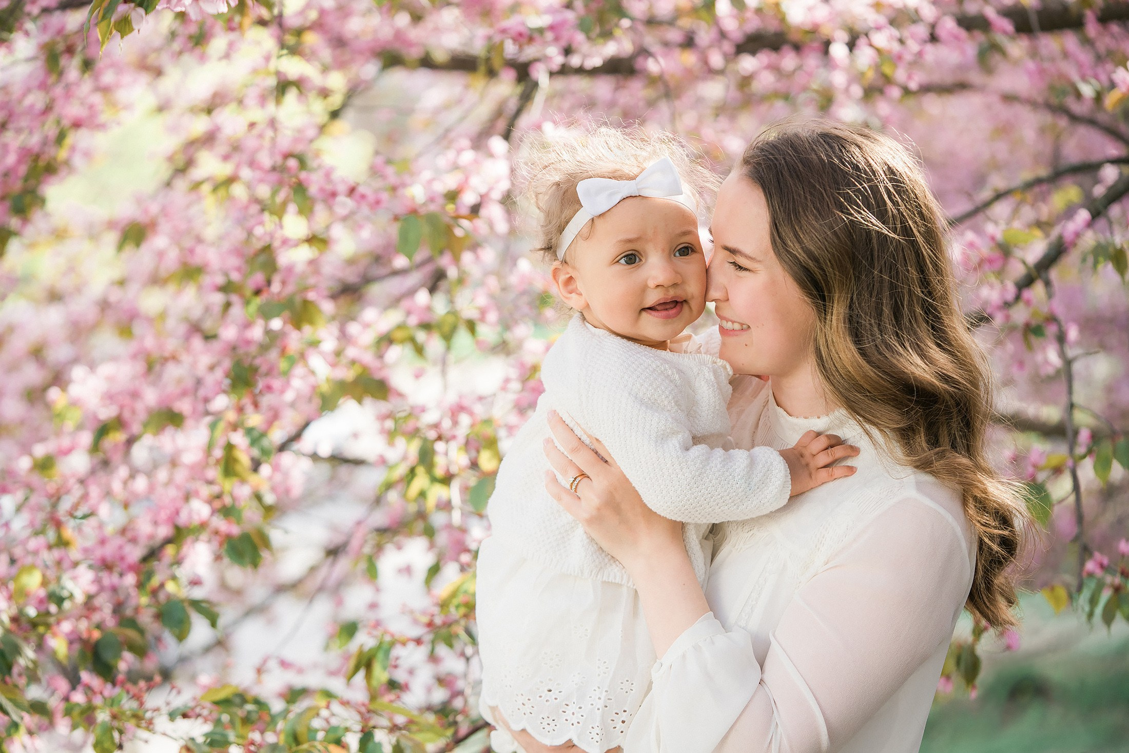 Kevään 2026 minikuvaukset (kirsikka- ja rodopuitossa, sekä omenatarhassa)