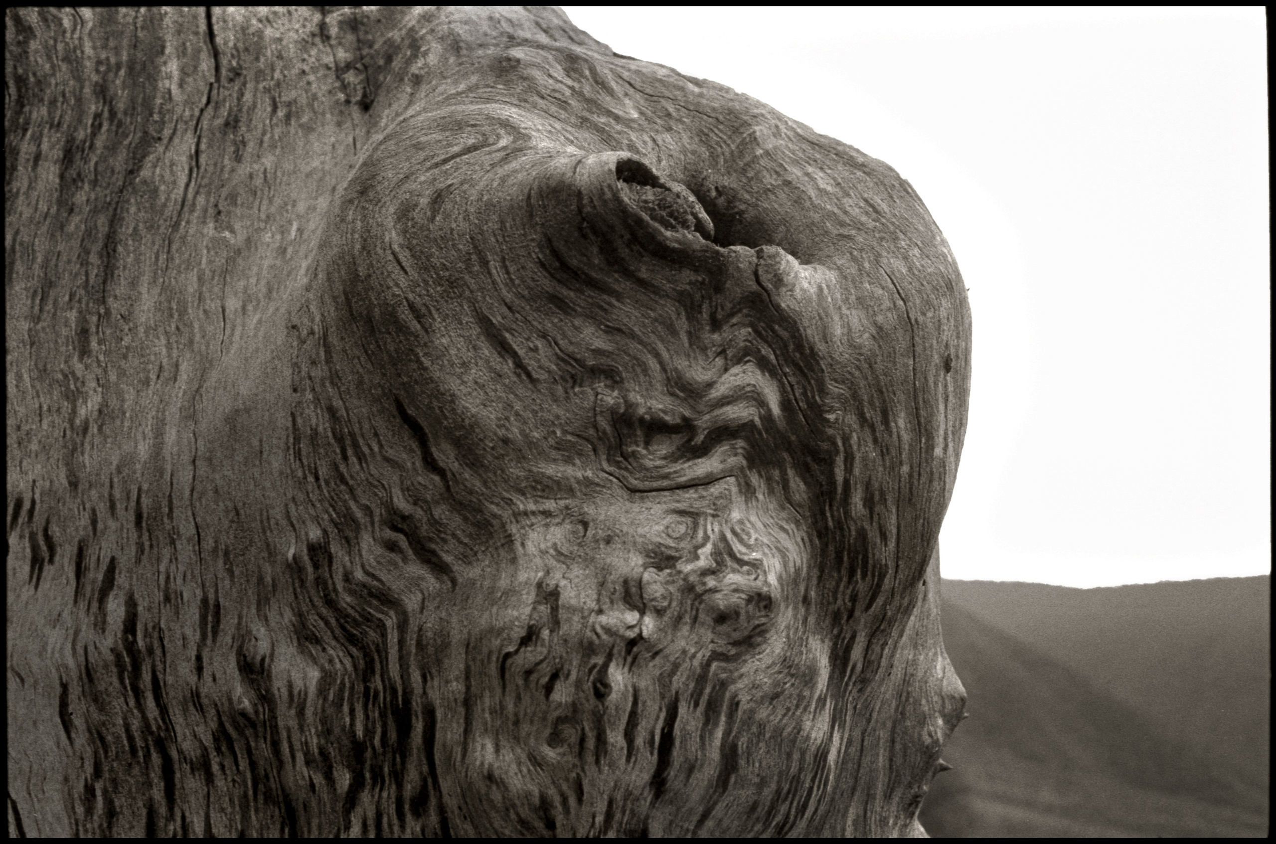 NATURE. Www.sananaleskerov.com