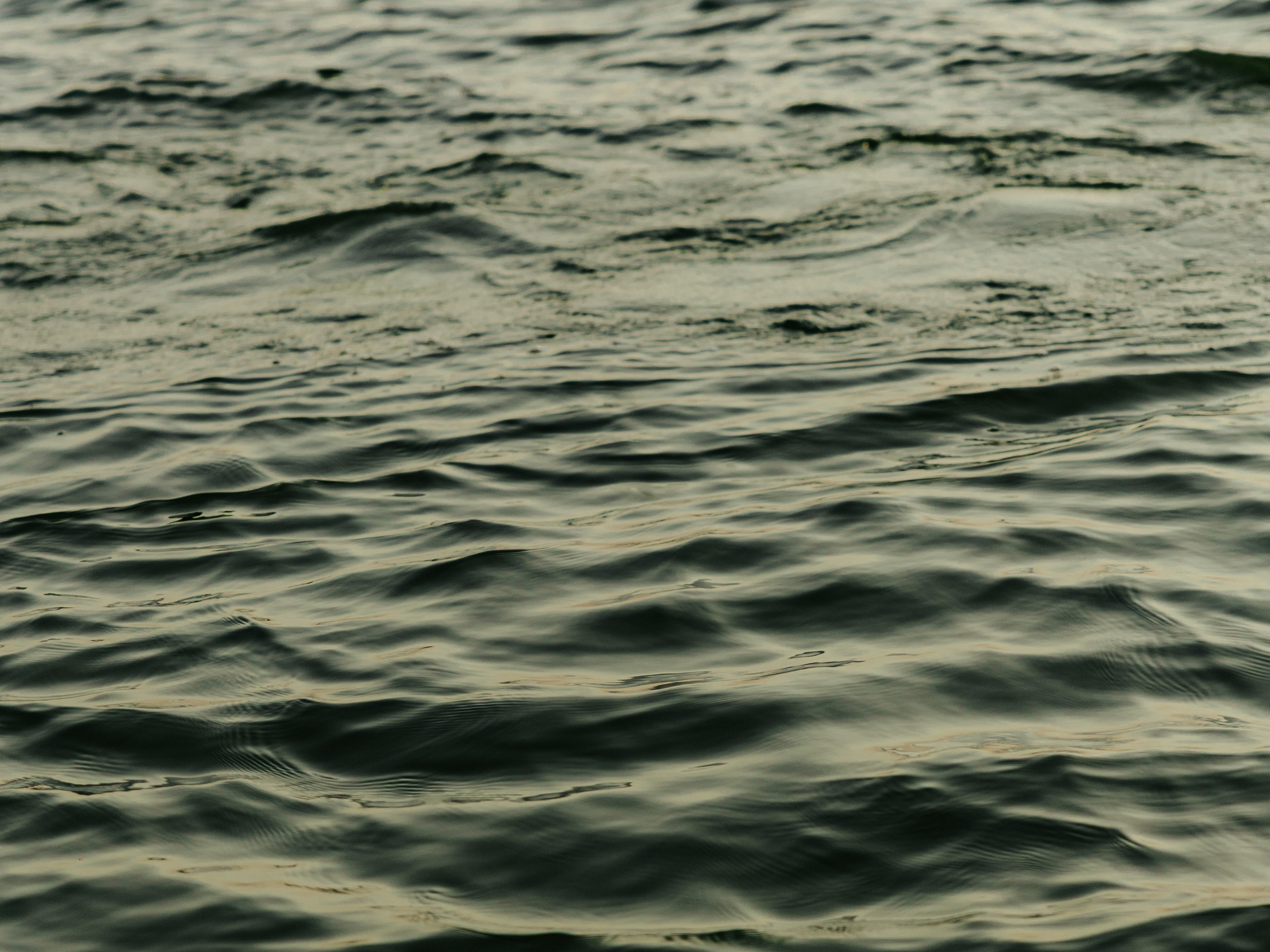 SUNSET. Профессиональный фотограф в Ташкенте