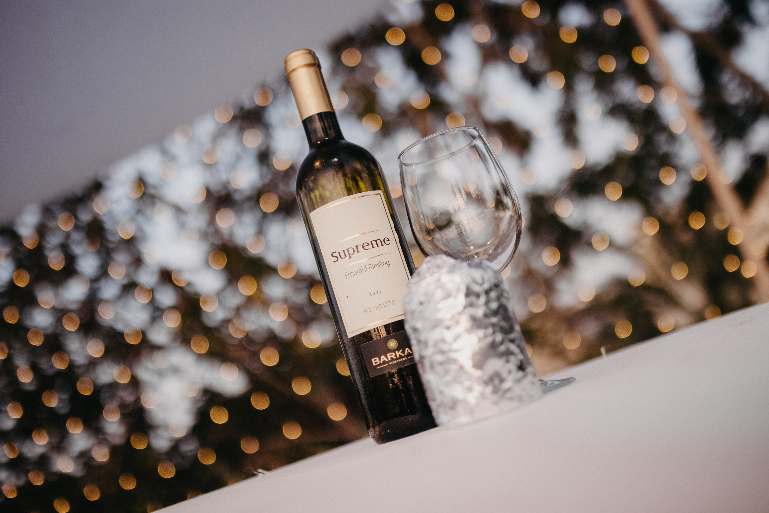 Yonatan & Lior. Home