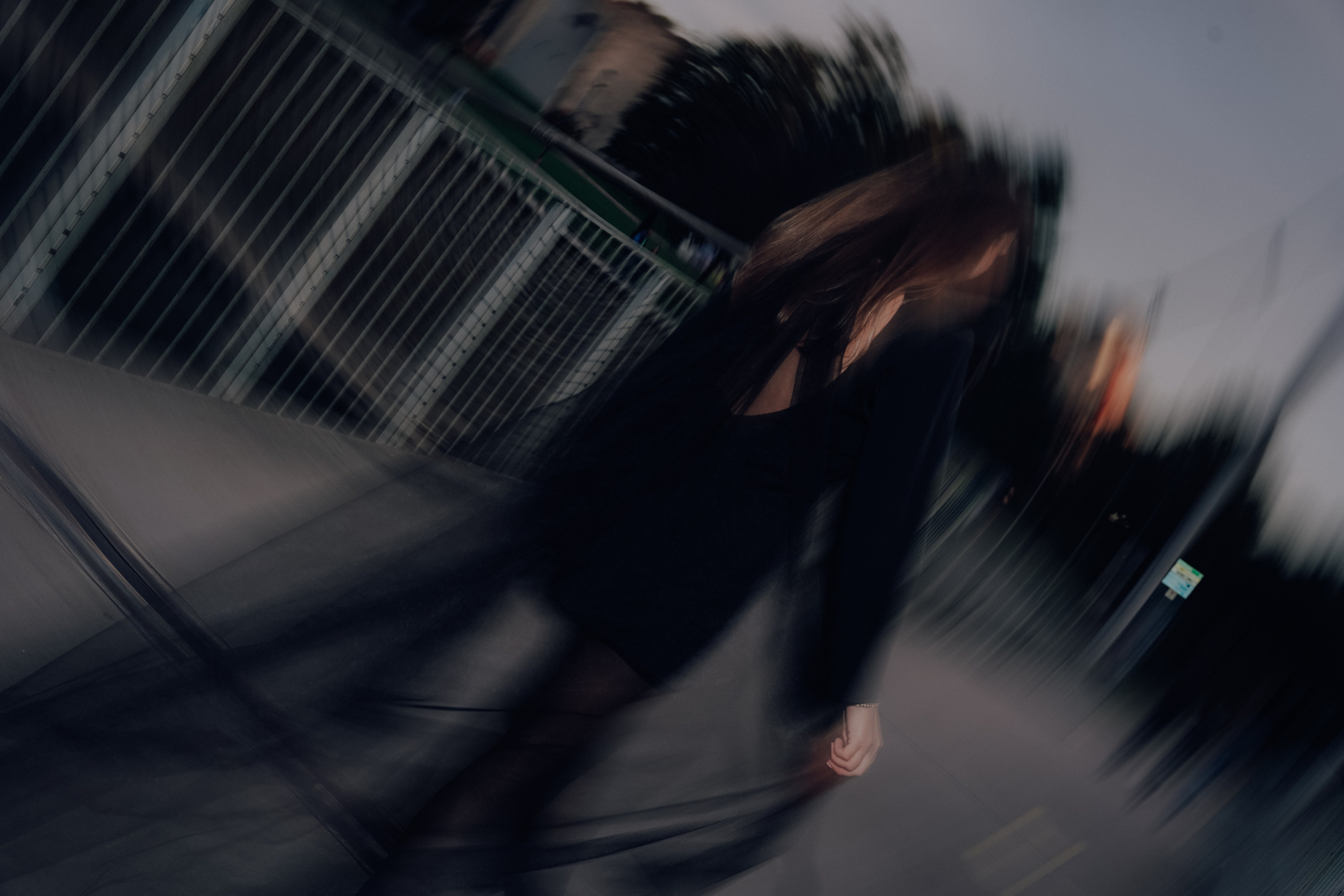 Duisburg schwarzer Schwan. Photograf NRW