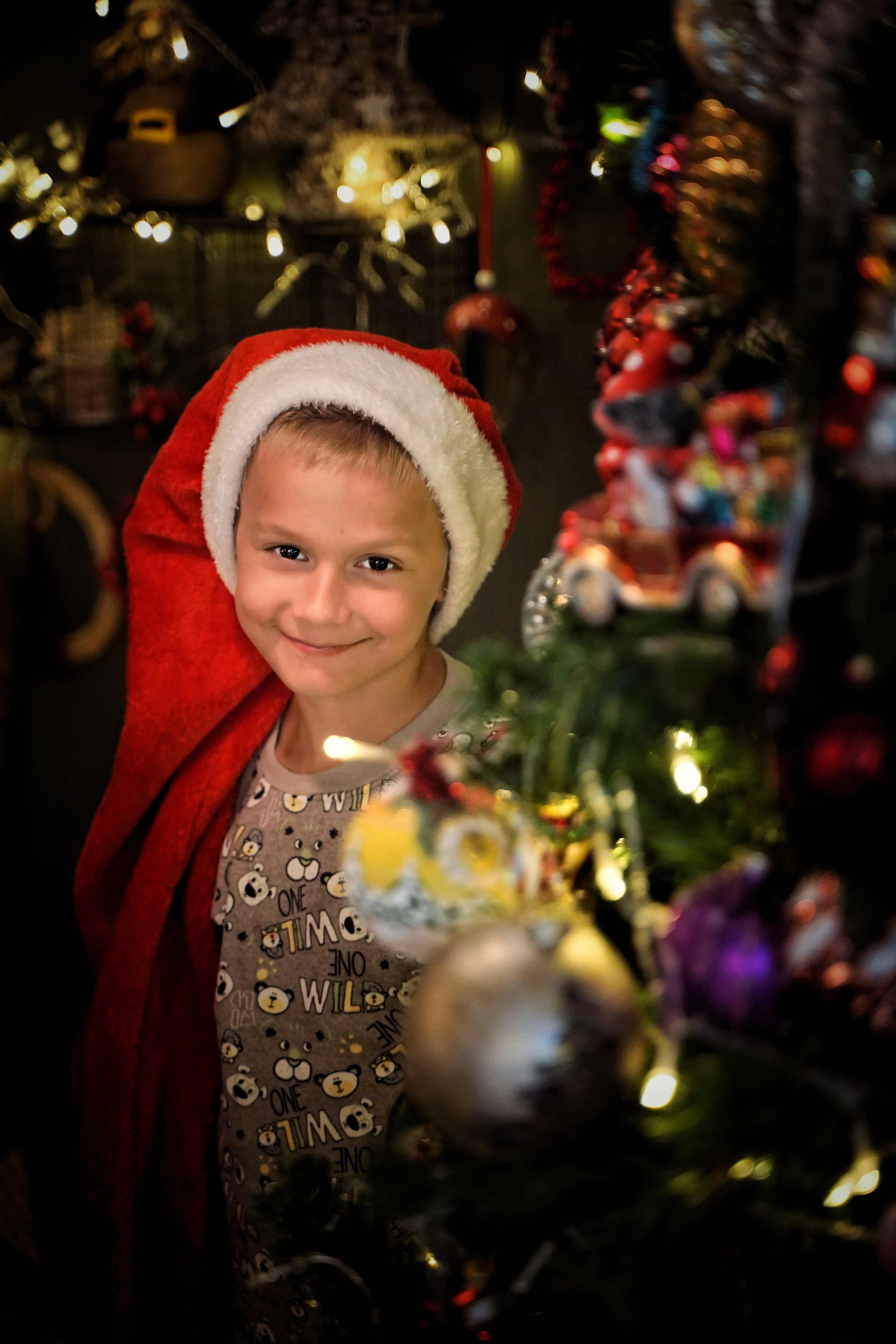 Эльфы. Фотограф. Визуал. Хайфа. Талья Цветкова