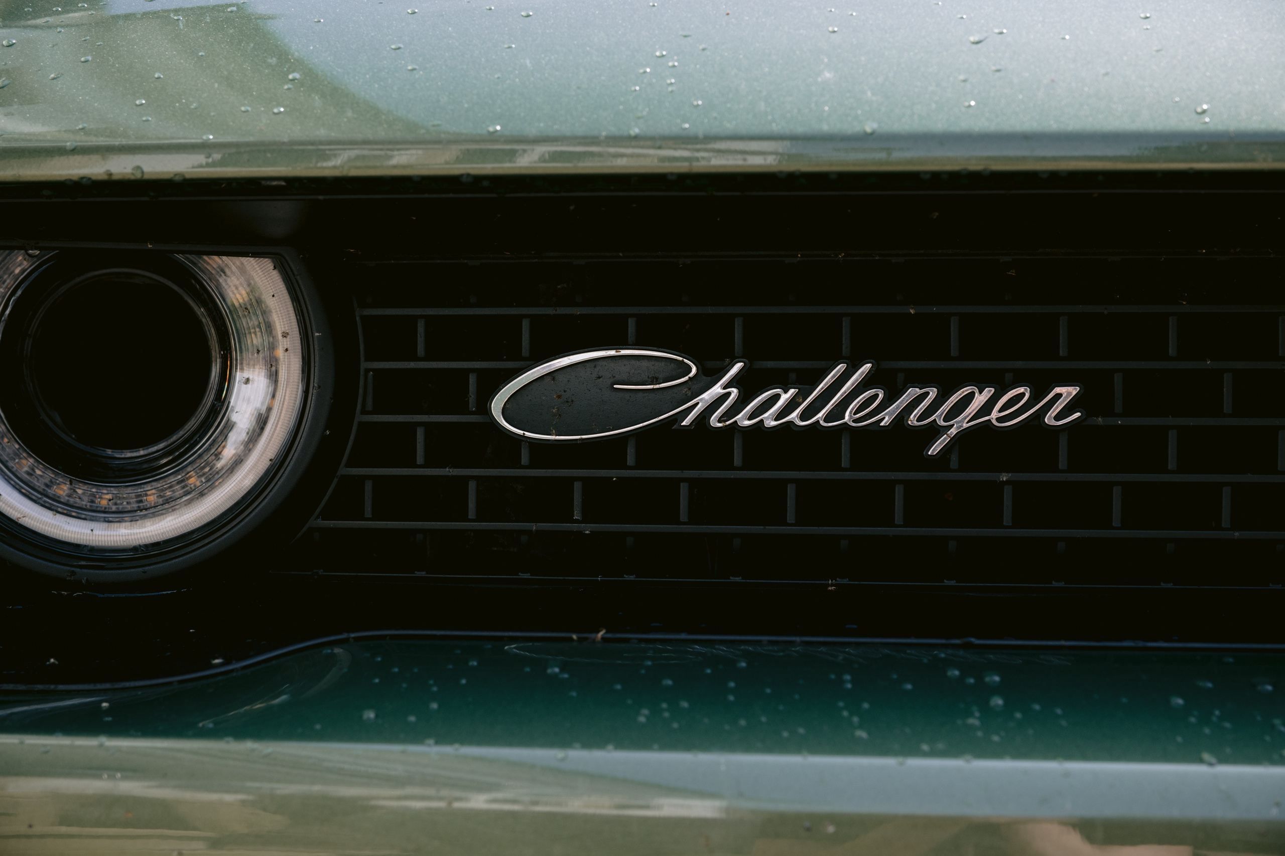 Artjom and Alex. Wedding photography — EMU Photos