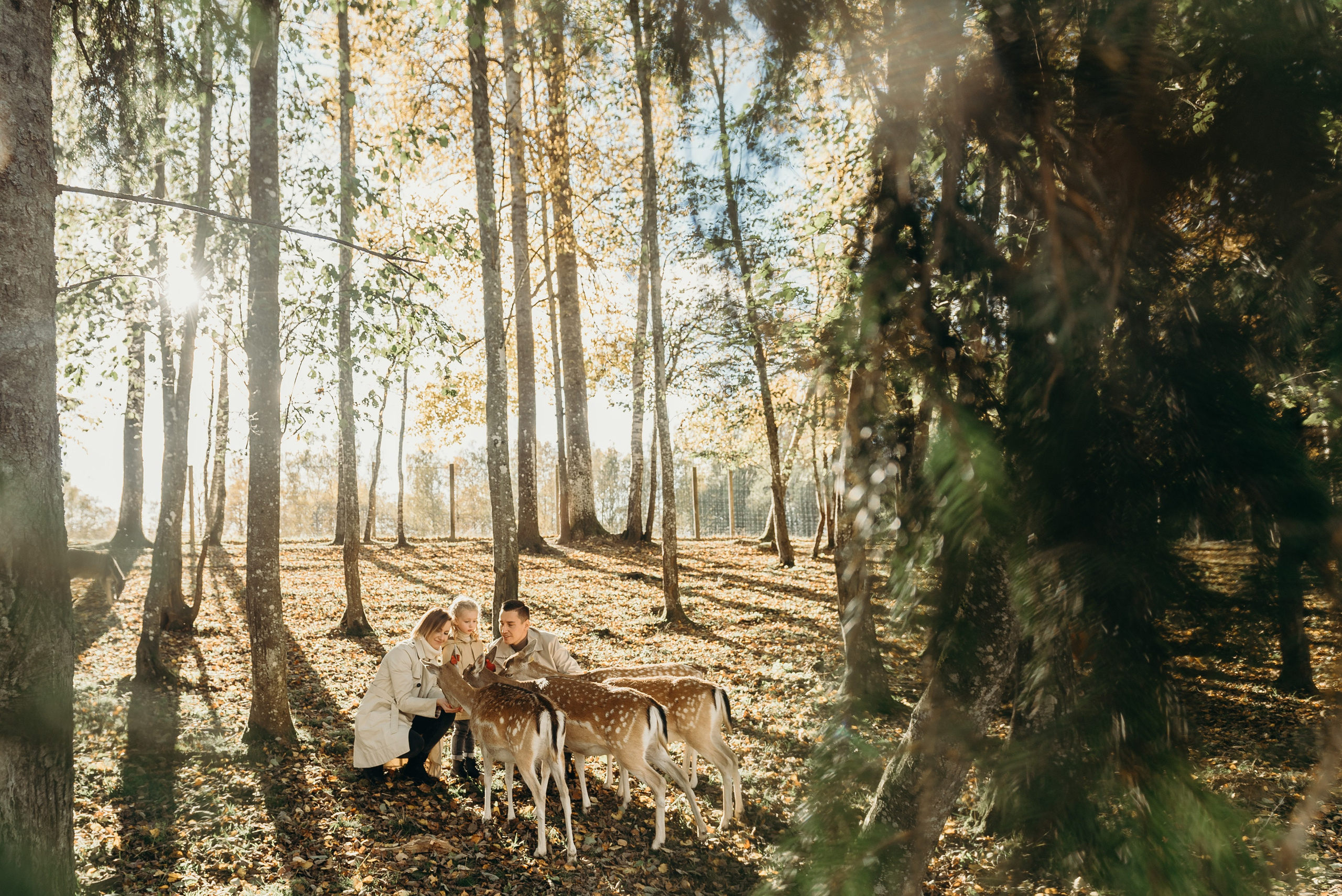 Briežu parks. Свадебный фотограф в Риге — Вячеслав Лучненков