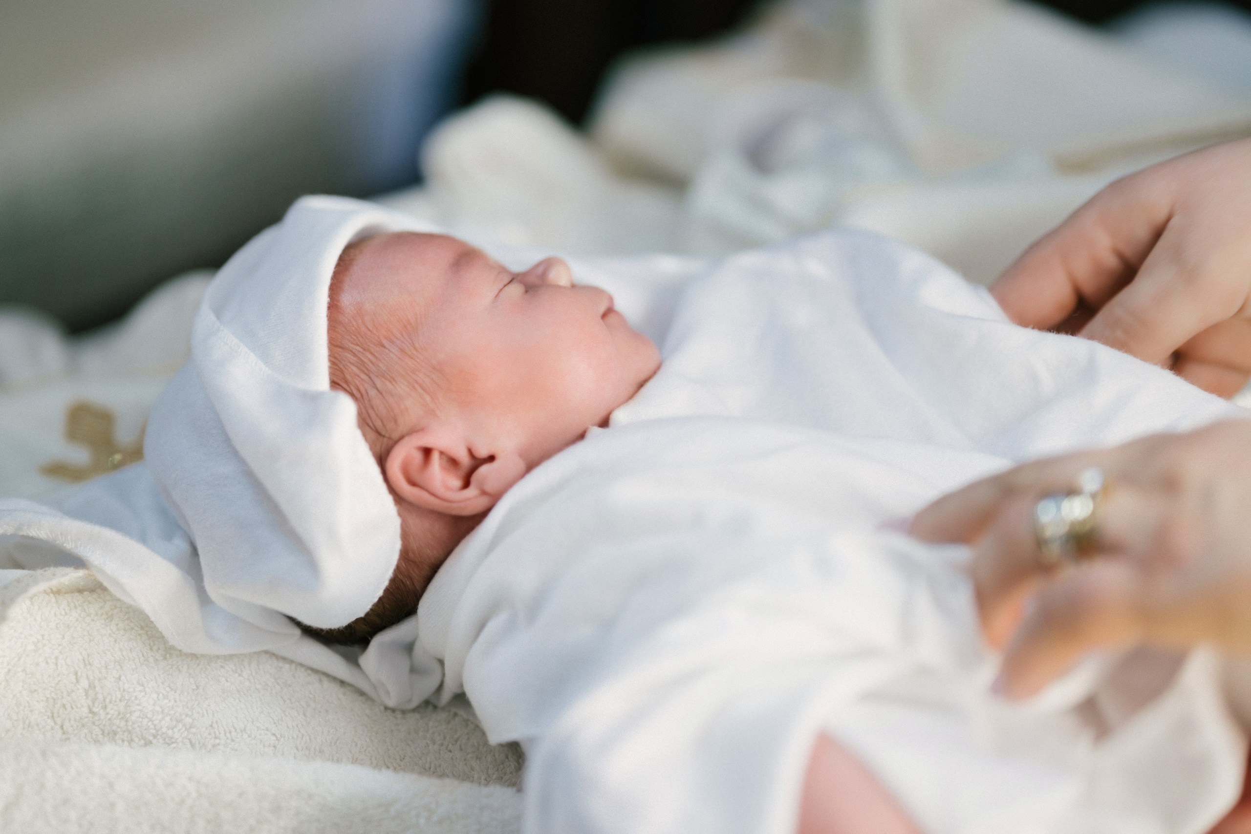 botez Luca Nectarie 22 februarie 2026 fotograf profesionist	•	fotograf botez Botoșani Luca Nectarie biserică	•	părinți Răzvan și Ramona botez copil emoții familie	•	nași Marin și Rodica botez copil fotografie profesională	•	detalii botez lumânare cristelniță biserică România	•	copil Luca Nectarie în brațe la botez moment emoționant	•	familie fericită la botez copil fotograf Alin Chirilă	•	fotografie botez naturală lumină caldă biserică	•	portret copil botez Luca Nectarie fotograf profesionist	•	momente autentice botez România familie și nași	•	slujbă botez copil imagini emoționante biserică	•	fotograf botez Iași și Botoșani Alin Chirilă - nunta--fotograf-profesionist-botosani  - fotografie-nunta-romantica - imagini-nunta-in-natura-alin-chirila-fotograf  - fotografii-cuplu-indragostit-nunta-botosani  - sedinta-foto-miri-andrei-iustina-alinofotostudio  - amintiri-din-nunta-realizate-de-fotograf-profesionist  - povestea-nuntii-andrei-si-iustina-in-imagini-alinofotostudio-fotograf evenimente- evenimente Botoșani -fotograf Suceava - fotograf Iași- servicii foto. servicii foto Botoșani. servicii foto video Botoșani. otograf-nunta-botosani-fotograf nunta. fotograf evenimente. fotograf nunta Botoșani. Alin chirila. Alin chirila fotograf. Alinofotostudio.- servicii foto. servicii foto Botoșani. servicii foto video Botoșani. fotograf nunta. fotograf evenimente. fotograf nunta Botoșani. Alin chirila. Alin chirila fotograf. Alinofotostudio.fotograf stare civilă,poze stare civilă,album foto stare civilă,servicii foto suceava,fotograf evenimente suceava,fotograf nuntă suceava,poze cununie civilă,ședință foto stare civilă,sesiune foto suceava,fotograf profesionist suceava,fotograf botosani,stare civila botosani,alinofotostudio,alin chirila fotograf.servicii foto. servicii foto Botoșani. servicii foto video Botoșani. fotograf nunta. fotograf evenimente. fotograf nunta Botoșani. Alin chirila. Alin chirila fotograf. Alinofotostudio.fotograf stare civilă,poze stare civilă,album foto stare civilă,servicii foto suceava,fotograf evenimente suceava,fotograf nuntă suceava,poze cununie civilă,ședință foto stare civilă,sesiune foto suceava,fotograf profesionist suceava,fotograf botosani,stare civila povestitor prin fotografiebotosani,alinofotostudio,alin chirila fotograf,servicii foto. servicii foto Botoșani. servicii foto video Botoșani. fotograf nunta. fotograf evenimente. fotograf nunta Botoșani. Alin chirila. Alin chirila fotograf. Alinofotostudio.fotograf stare civilă,poze stare civilă,album foto stare civilă,servicii foto suceava,fotograf evenimente suceava,fotograf nuntă suceava,poze cununie civilă,ședință foto stare civilă,sesiune foto suceava,fotograf profesionist suceava,fotograf botosani,stare civila botosani,alinofotostudio,alin chirila fotograf,cununie religioasă botoșani,andreea și neculai,capela militară botoșani,foto conacul zăicești,fotograf nuntă botoșani,fotograf cununie religioasă,foto evenimente botoșani,poze cununie capela militară,ședință foto zăicești,fotograf profesionist botoșaniMire și mireasă – Sergiu & Liliana – ziua nunții, 2024  - Emoții în ziua nunții – Sergiu și Liliana  - Dansul mirilor – fotografie artistică nuntă 2024  - Sedinta foto romantică în natură – Sergiu & Liliana  - Rochia de mireasă și detalii de nuntă elegan-Album de cununie civilă Florin și Anda – Fotografii profesionale realizate de Alin Chirilă în Botoșani -fotograf prin fotografie-Ședință foto Trash the Dress pe muntele Rarău cu Iulian și Iuliana – fotografie de cuplu, natură montană, emoție autentică surprinsă de Alin Chirilă, povestitor prin fotografie.- "Iulian și Iuliana pe crestele Rarăului – fotografie Trash the Dress în natură"  - "Cuplu îmbrățișat la apus pe muntele Rarău – ședință foto după nuntă"  - "Rochie de mireasă în vânt pe munte – Trash the Dress Rarău-1. Iulian și Iuliana pe muntele Rarău – ședință foto Trash the Dress în natură, cu peisaj montan spectaculos  2. Cuplu în îmbrățișare pe Rarău – emoție autentică surprinsă după nuntă  3. Rochie de mireasă în bătaia vântului – fotografie artistică Trash the Dress în munți  4. Mire și mireasă privind spre orizont – dragoste și libertate pe muntele Rarău  5. Iuliana zâmbind în rochia de mireasă – portret în natură, Trash the Dress  6. Iulian ținându-și mireasa de mână – ședință foto romantică pe munte  7. Detaliu cu rochia pe stâncă – estetică naturală Trash the Dress Rarău  8. Cuplu în mers pe poteca Rarăului – fotografie simbolică de după nuntă  9. Apus de soare pe Rarău în spatele mirilor – imagine de poveste Trash the Dress  10. Iulian și Iuliana râzând împreună – momente autentice surprinse de Alin Chirilă, povestitor prin fotografie-fotograf-nunta-cerbu-botosan trash-the-dress-botosani Alin Chirilă Fotograf – fotograf de nuntă Botoșani-fotograf nuntă Botoșani-fotograf nuntă Cerbu Botoșani-fotograf profesionist nuntă Botoșani-fotografie de nuntă Botoșani-fotograf evenimente Botoșani-fotograf nuntă Moldova-fotograf trash the dress Botoșani	- fotograf pregătirea mirilor Botoșani	-fotograf ceremonie religioasă nuntă-fotograf petrecere nuntă Botoșani- fotograf nuntă Botoșani pregătirea mirelui- pregătirea mirelui fotografie nuntă Cerbu Botoșani-fotograf nuntă Botoșani pregătirea miresei -mireasă pregătiri nuntă Cerbu Botoșani-fotograf nuntă Botoșani nașii mirilor-ceremonie religioasă nuntă Cerbu Botoșani-fotograf nuntă Botoșani ceremonie religioasă biserică-petrecere nuntă Cerbu Botoșani invitați dans-fotograf nuntă Botoșani petrecere restaurant-ședință foto trash the dress-fotograf trash the dress Botoșani ședință foto după nuntă-Fotograf nuntă Botoșani – galerie foto reală de la evenimente stare civilă Sebi și Claudia Copălău	•	cununie civilă Primăria Copălău Botoșani	•	miri emoționați la starea civilă	•	semnarea actelor cununie civilă	•	fotografii naturale stare civilă Botoșani	•	familie și prieteni la cununie civilă	•	cadre emoționale cununie civilă	•	fotograf profesionist Botoșani eveniment stare civilă Sebi și Claudia la Primăria Copălău Botoșani fotograf evenimente	•	fotograf cununie civilă Copălău Botoșani cadre naturale și emoționale	•	fotograf profesionist Botoșani stare civilă Sebi și Claudia	•	momente autentice cununie civilă Copălău fotograf Alin Chirilă	•	fotografii emoționale stare civilă în județul Botoșani