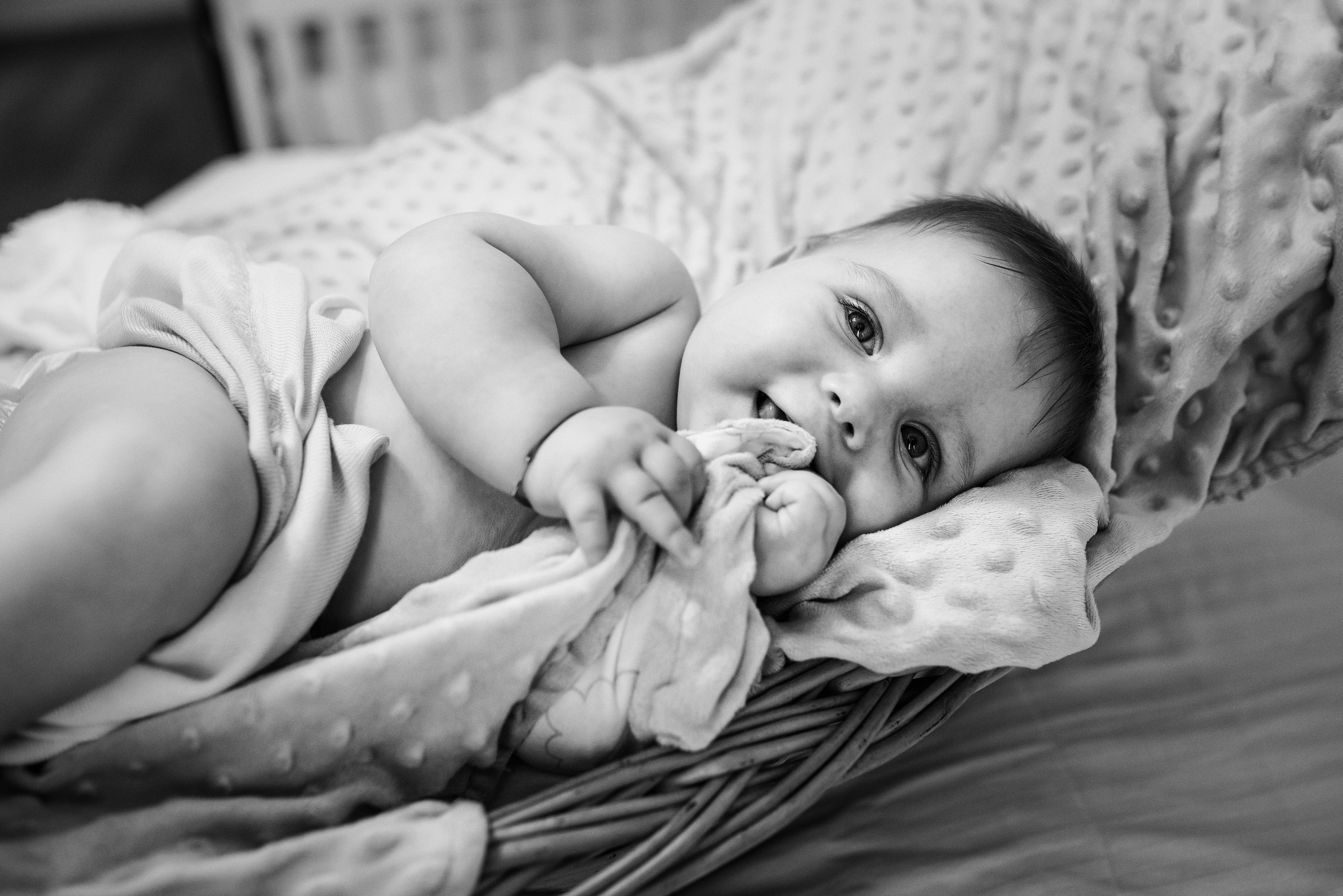 Petru Ginel. Fotograf nunta si evenimente Giurgiu