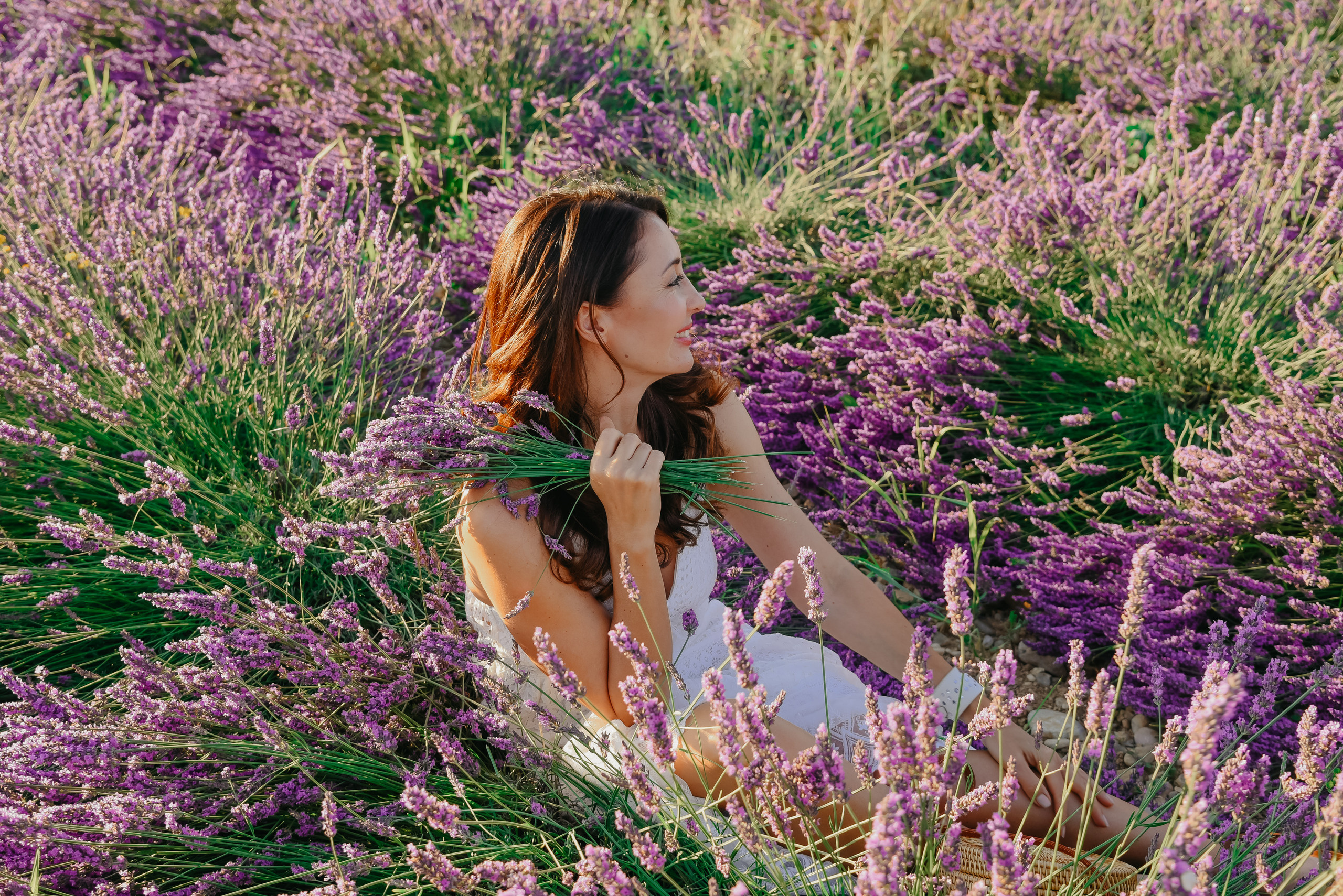 Provence (lavande field) France. Photographer in Luxembourg Tanita