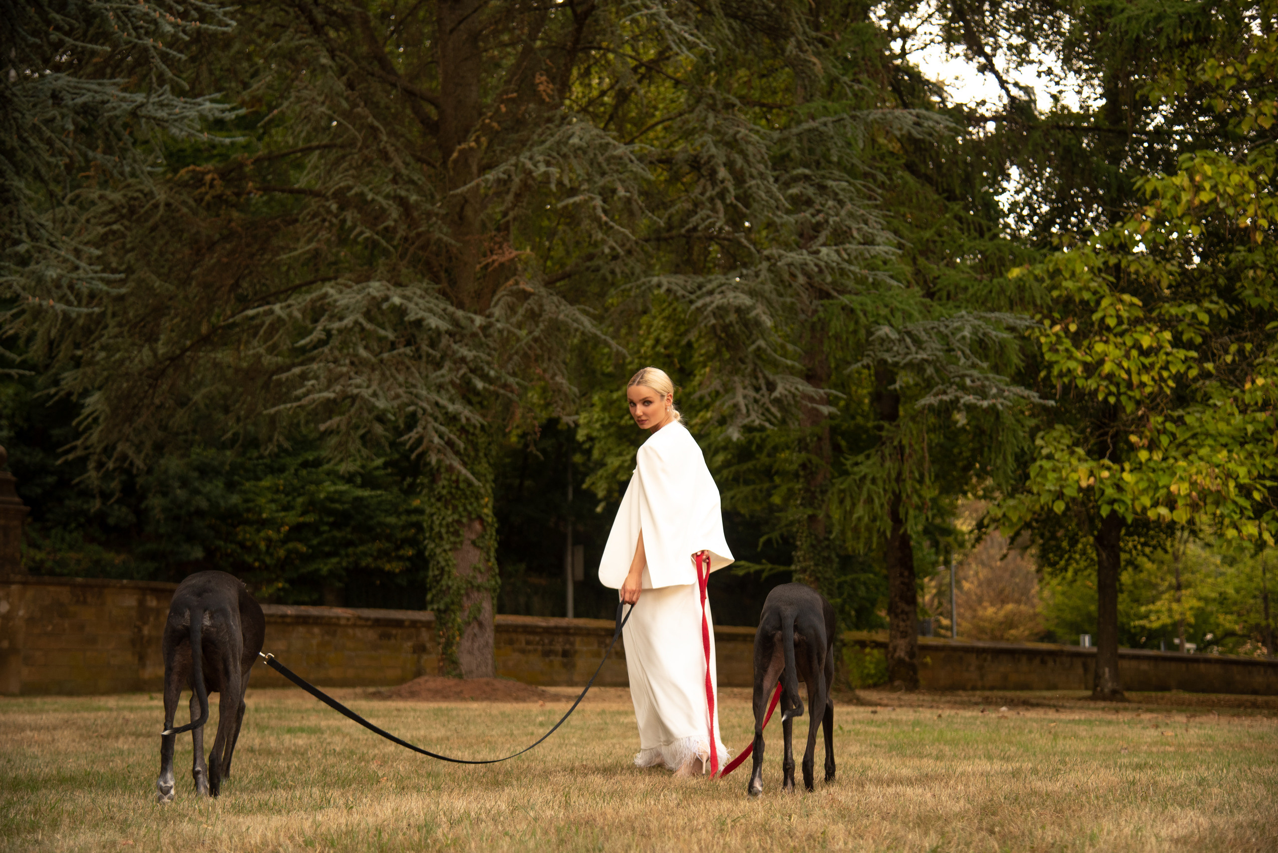 Concept photoshoot Luxembourg (with Greyhound dogs). Photographer in Luxembourg Tanita