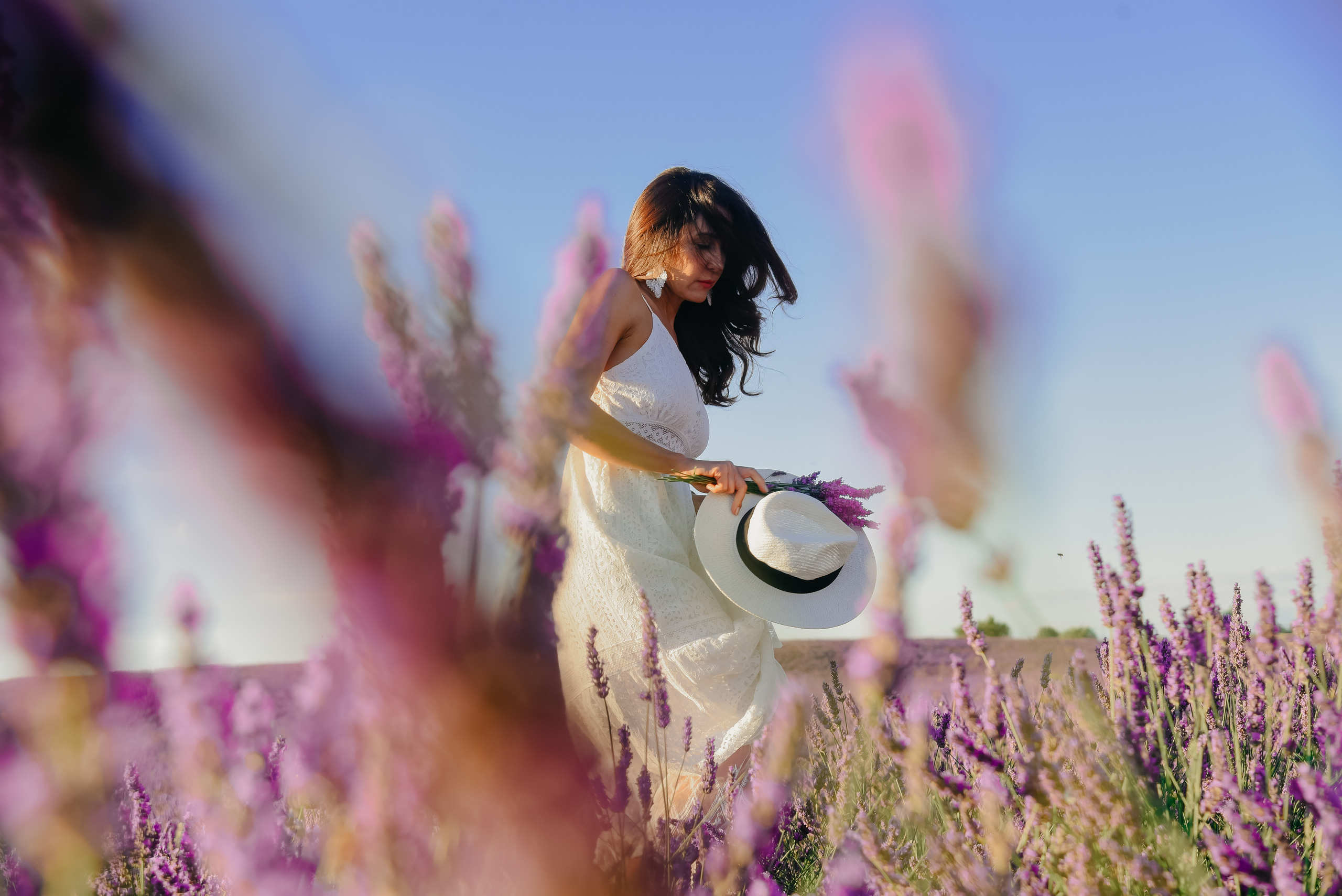 Provence (lavande field) France. Photographer in Luxembourg Tanita