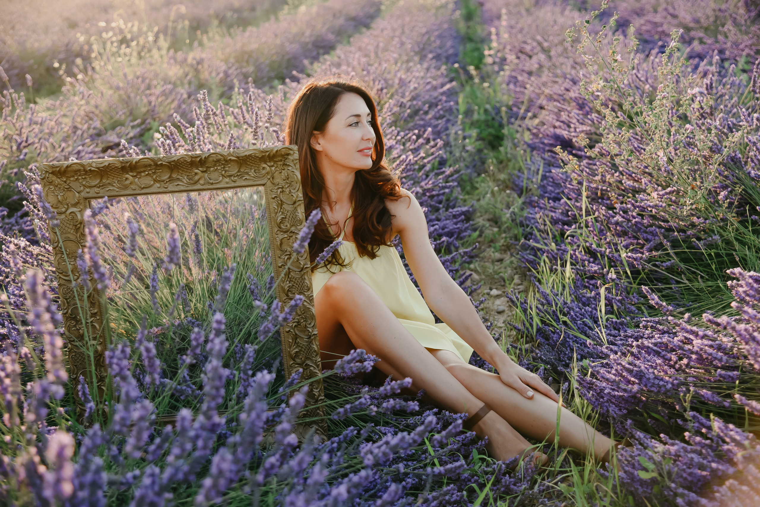 Provence (lavande field) France. Photographer in Luxembourg Tanita