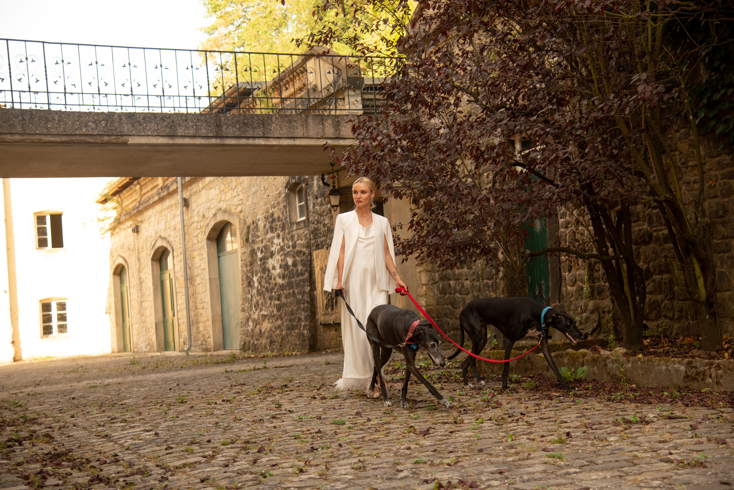 Concept photoshoot Luxembourg (with Greyhound dogs). Photographer in Luxembourg Tanita