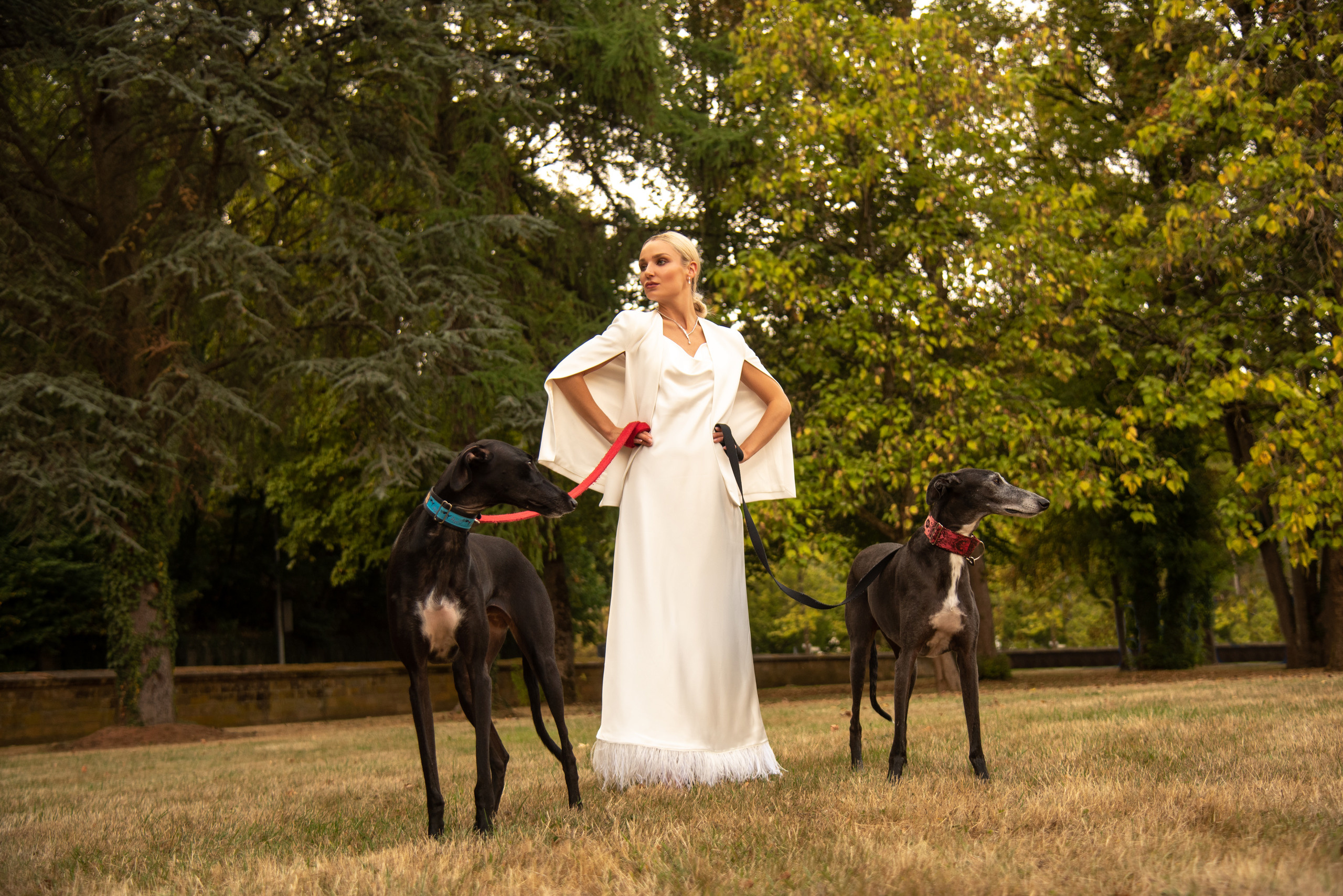 Concept photoshoot Luxembourg (with Greyhound dogs). Photographer in Luxembourg Tanita