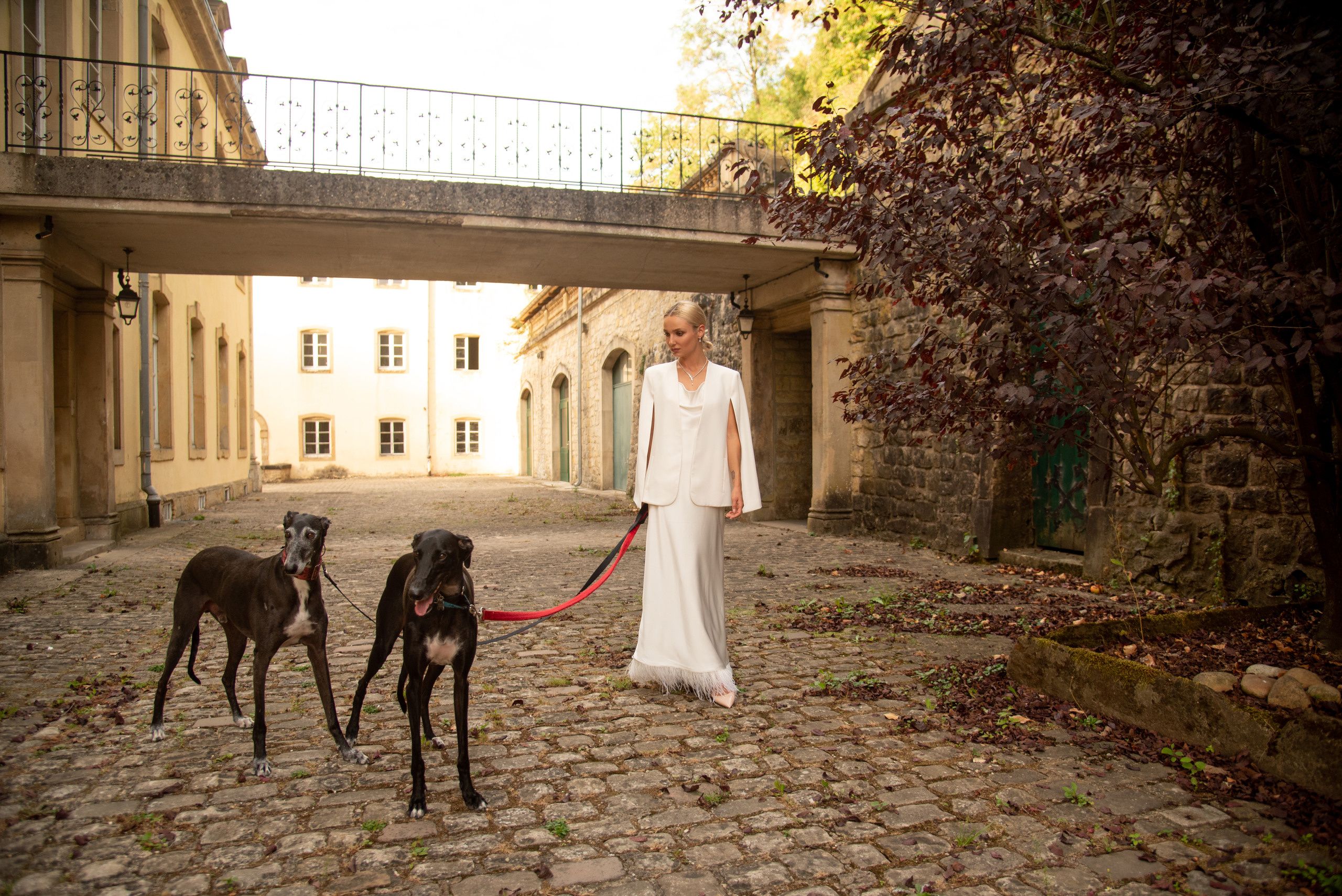 Concept photoshoot Luxembourg (with Greyhound dogs). Photographer in Luxembourg Tanita