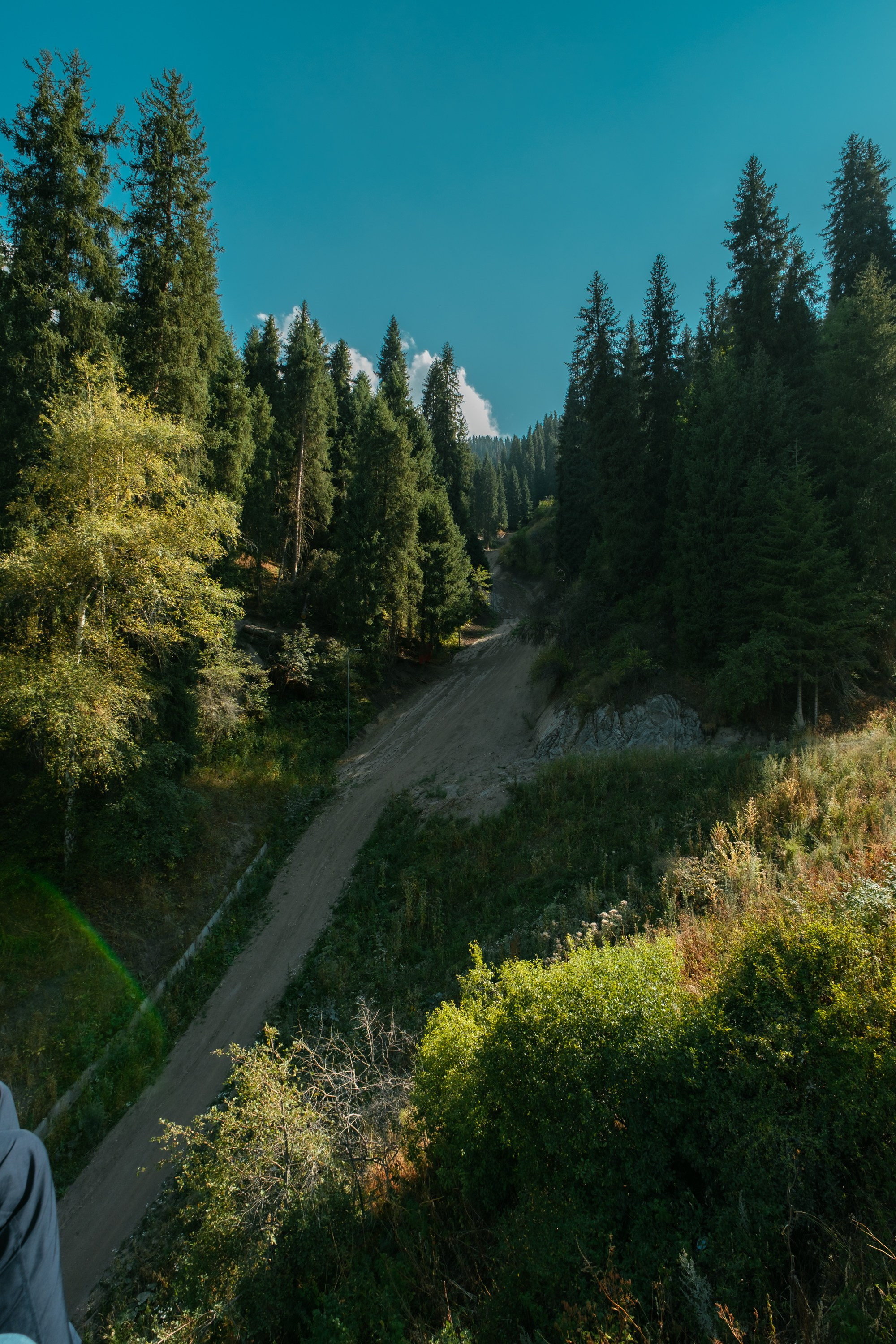 Sigma 12 mm F/1.4 DC DN Contemporary. Фотограф Григорий Кравец