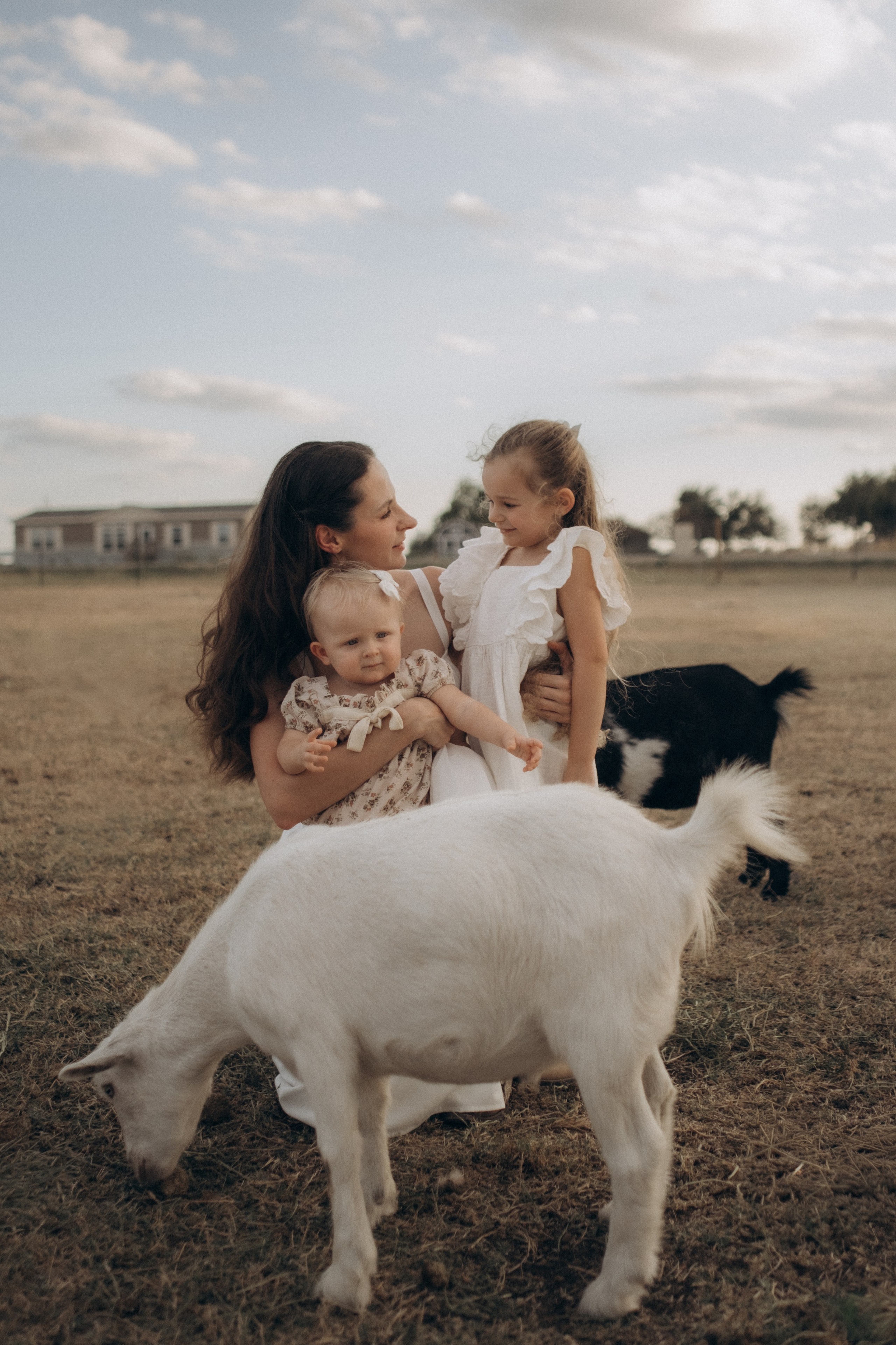Farm Story. Lens Captures Life