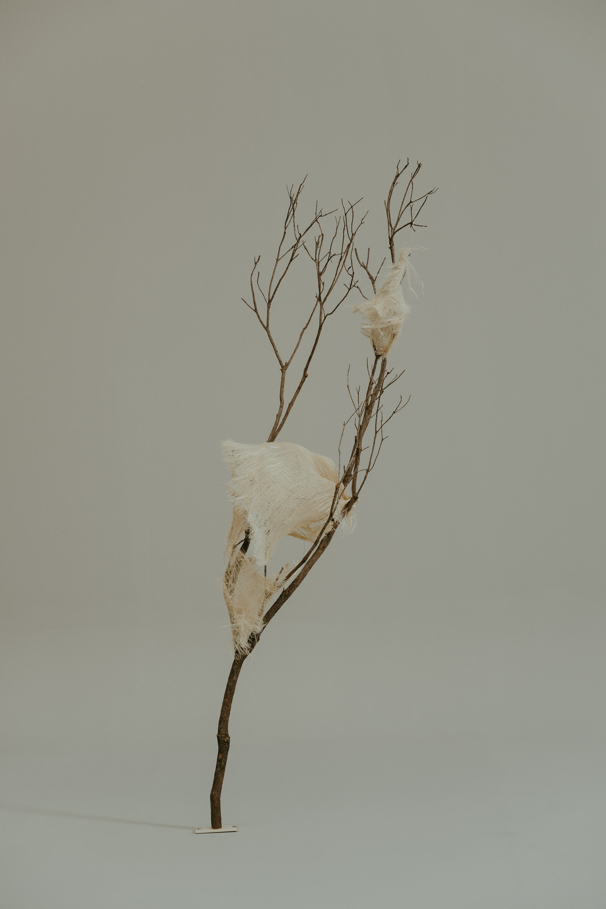 Art Direction: Flowers by&nbsp;Bornay Photography: Fabrizio Colque 