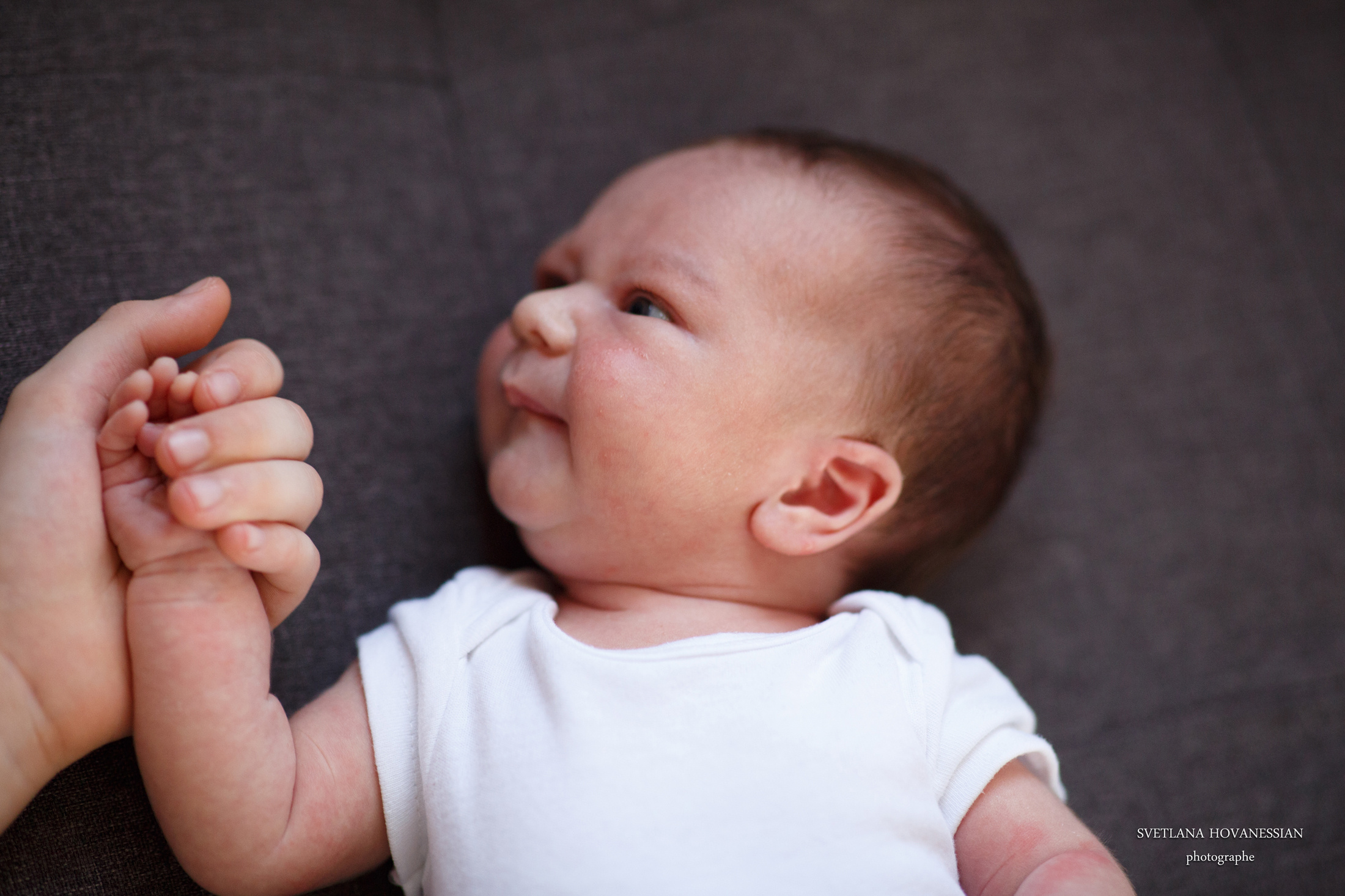 Umar WEB. Photographe professionelle spécialisée dans la photographie de grosses