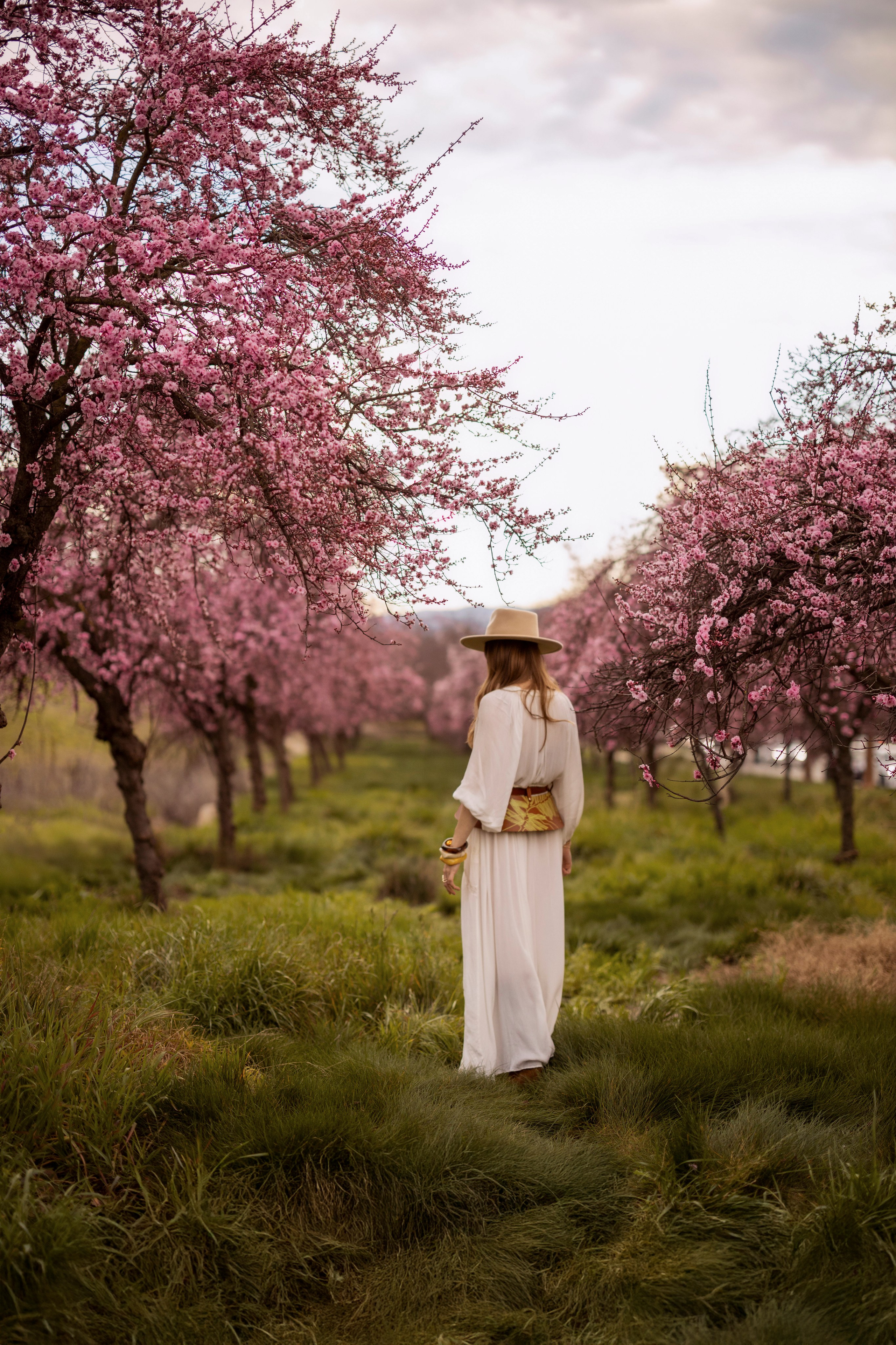 Plum Blossom. Bay Area Photographer: family, maternity, love story, wedding