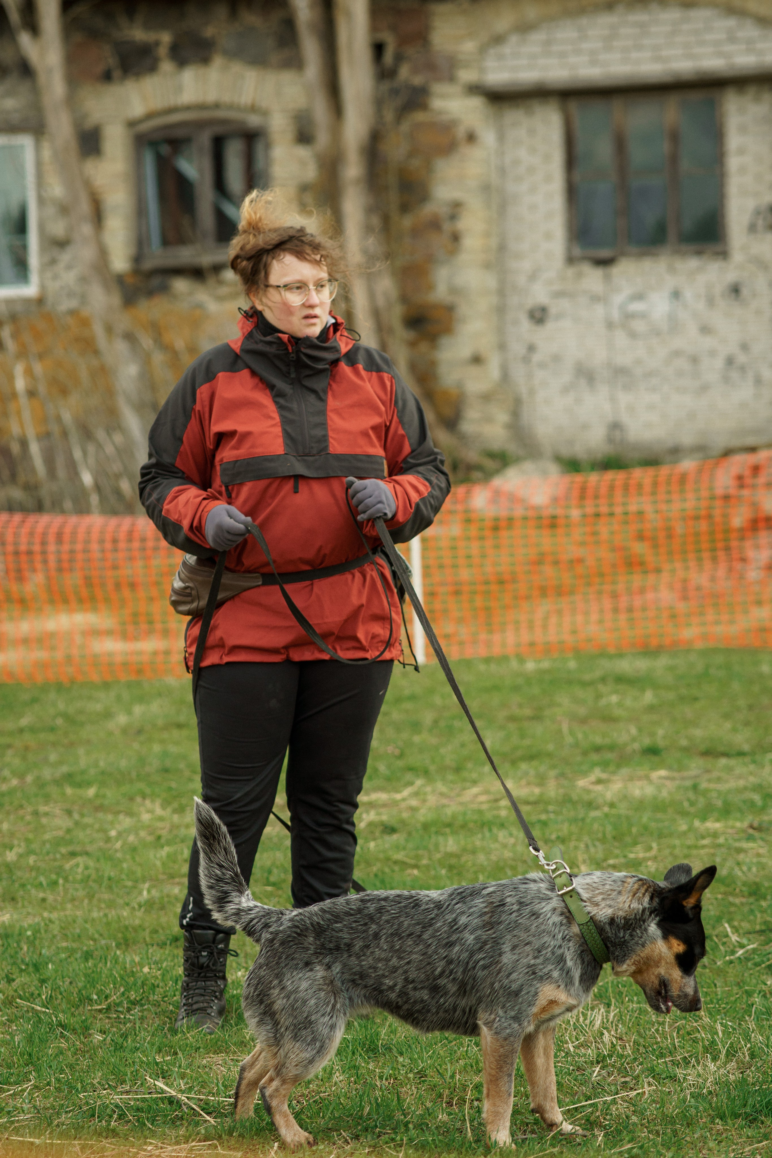 Herding Days, 26 apr. 2025. Kat Laisaar — Pet photographer in Tallinn