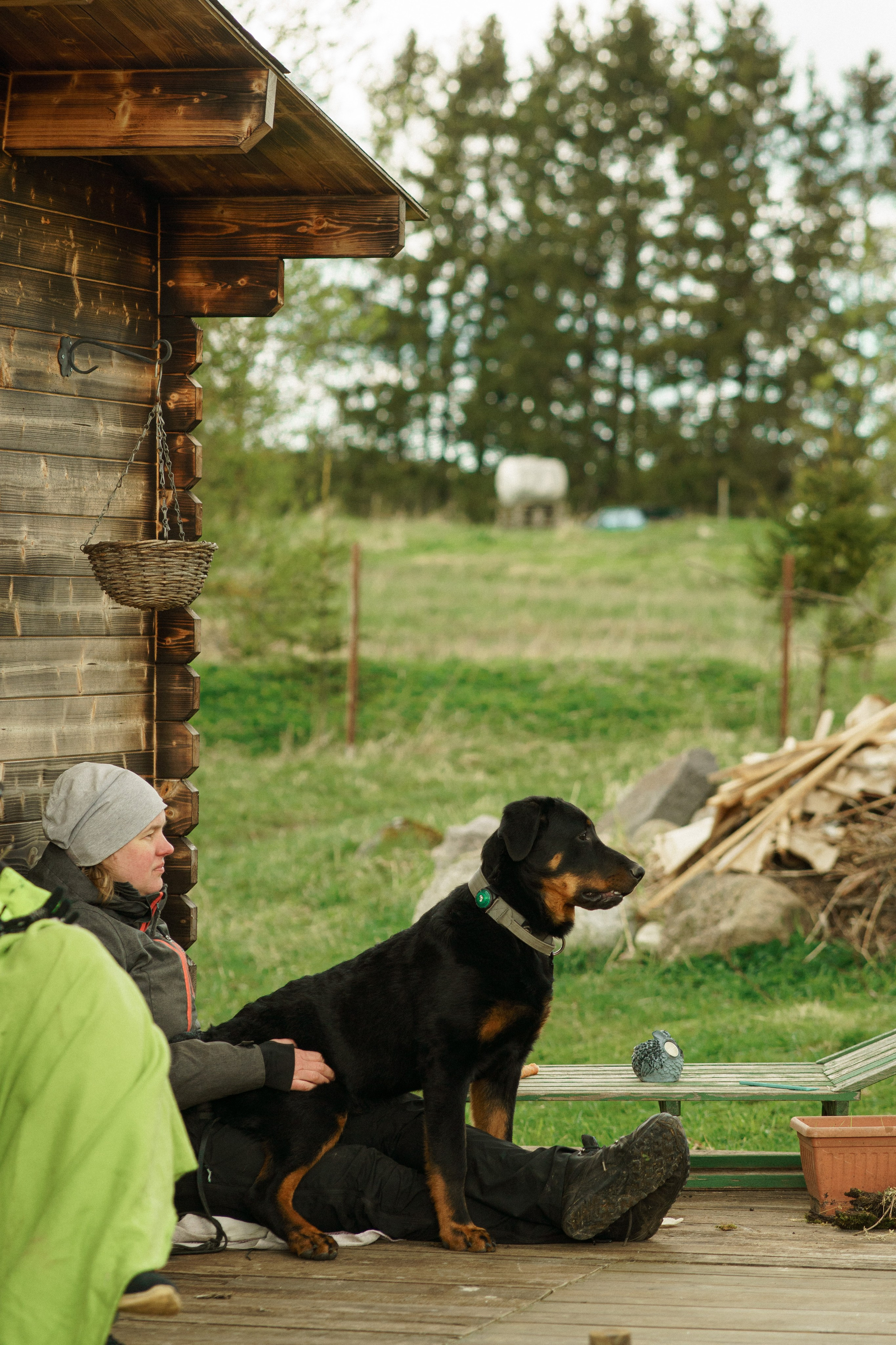 Herding Days, 26 apr. 2025. Kat Laisaar — Pet photographer in Tallinn