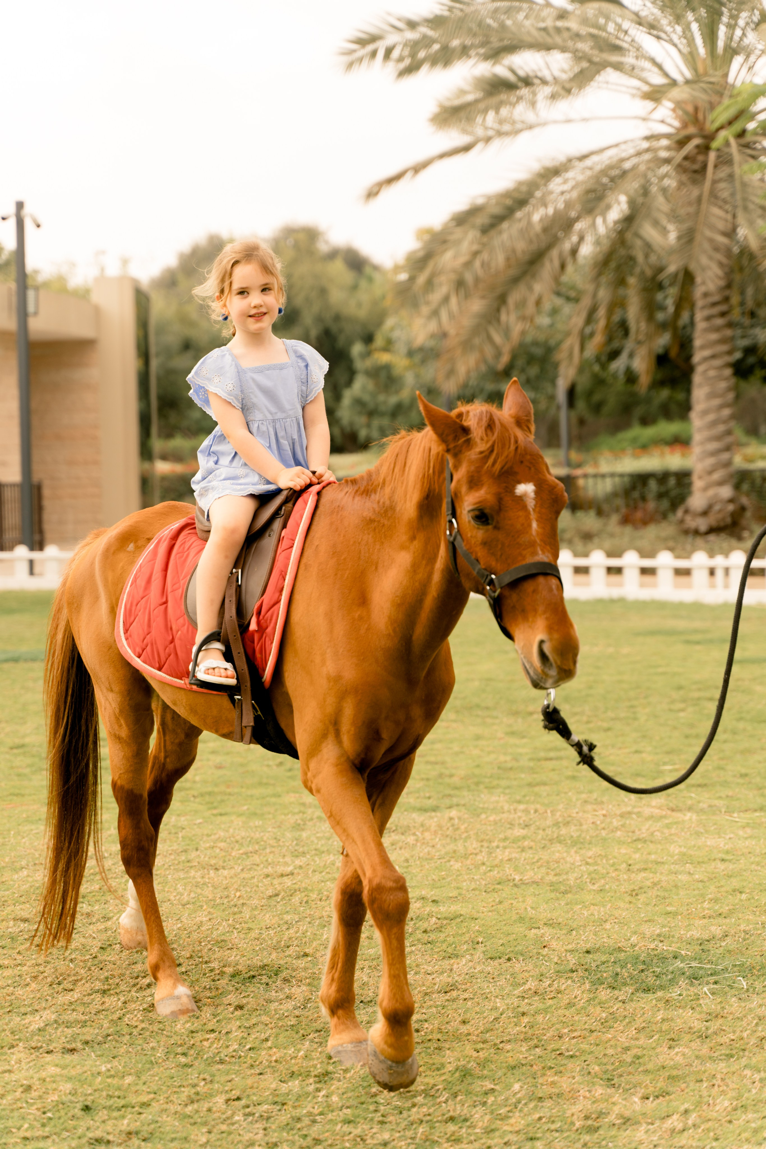 Фотосессия в Umm Al Emarat Park — природная гармония в центре Абу-Даби. Фотограф в Абу Даби Марина