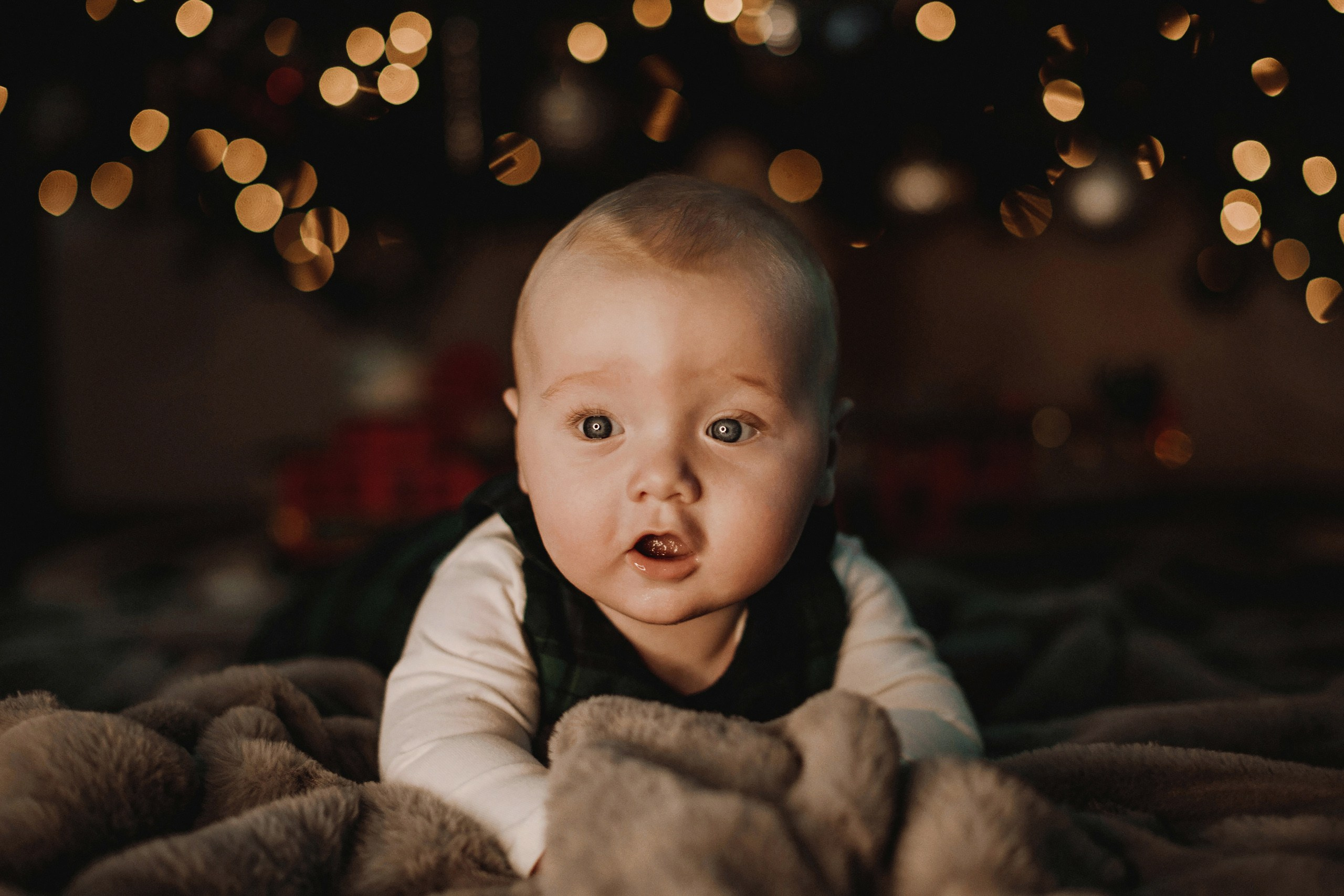 19.11.2023 Christmas Photoshoot. Wedding family event photographer in Chicago Nick Yushevich