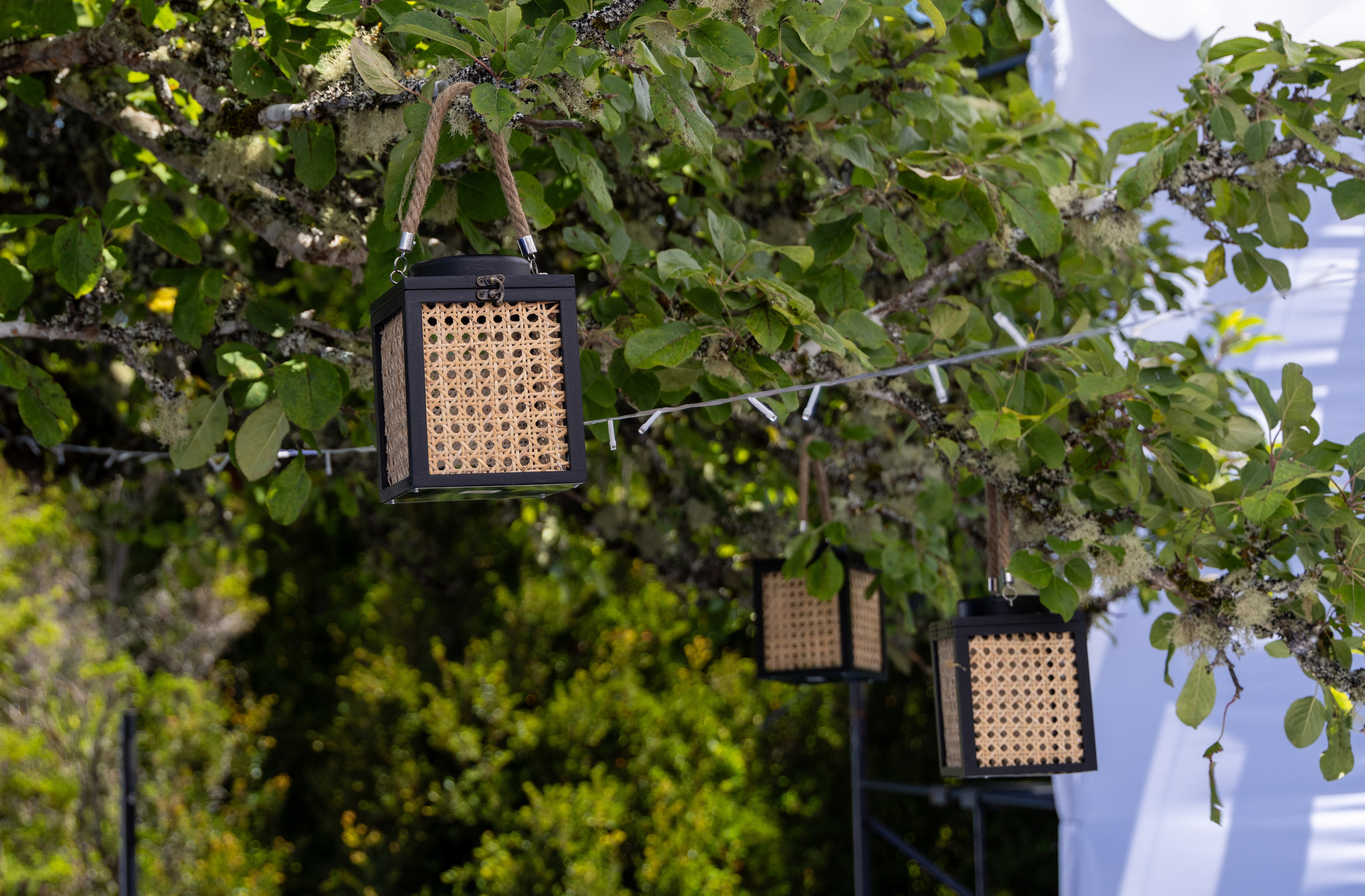 Maritza y Alen. Dinka & Emilio - El arte de preservar lo que no se repite