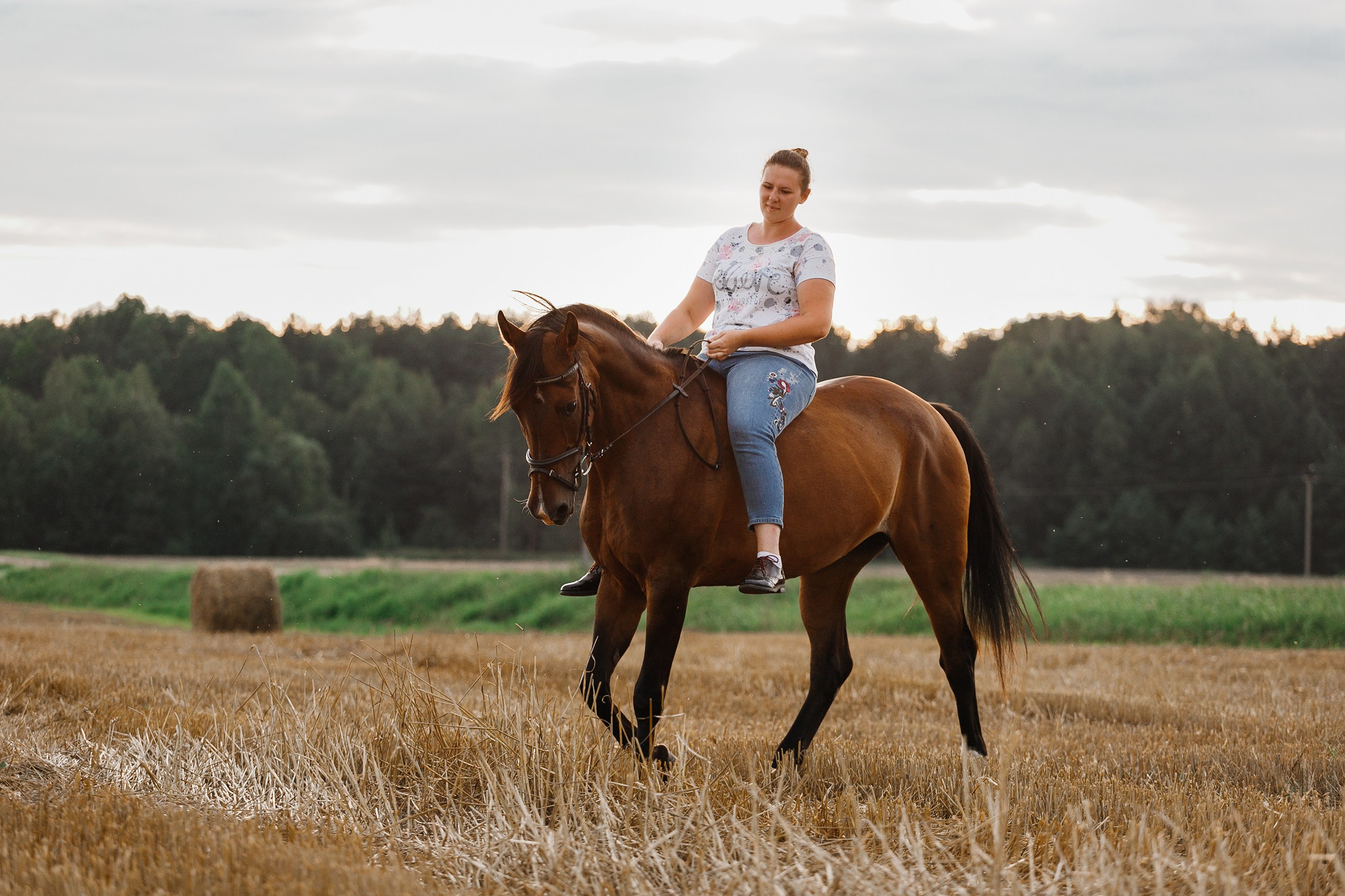 One sunset. Kaja | fotograf psów we Wrocławiu
