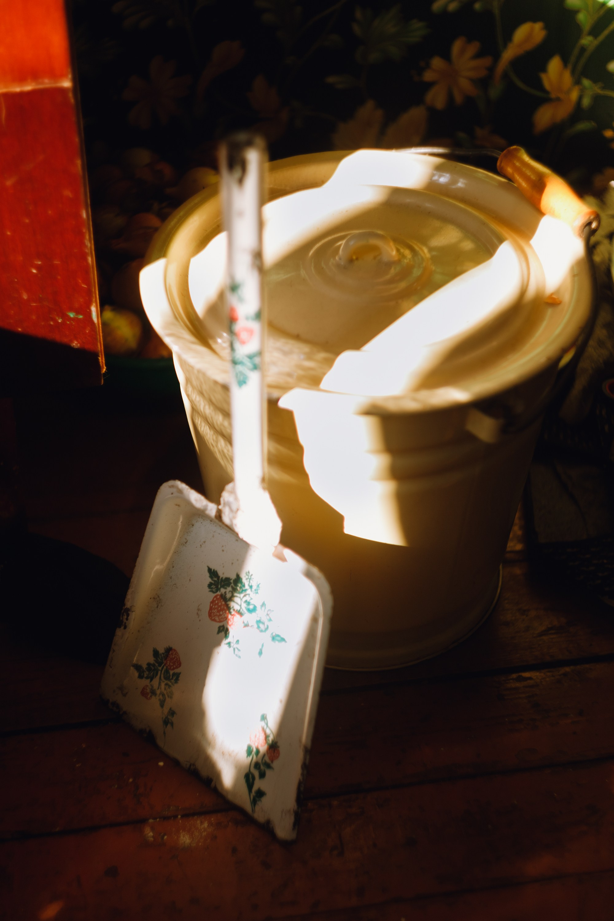 Grandmother's home in Brest. Kaja | fotograf we Wrocławiu | ludzie i psy