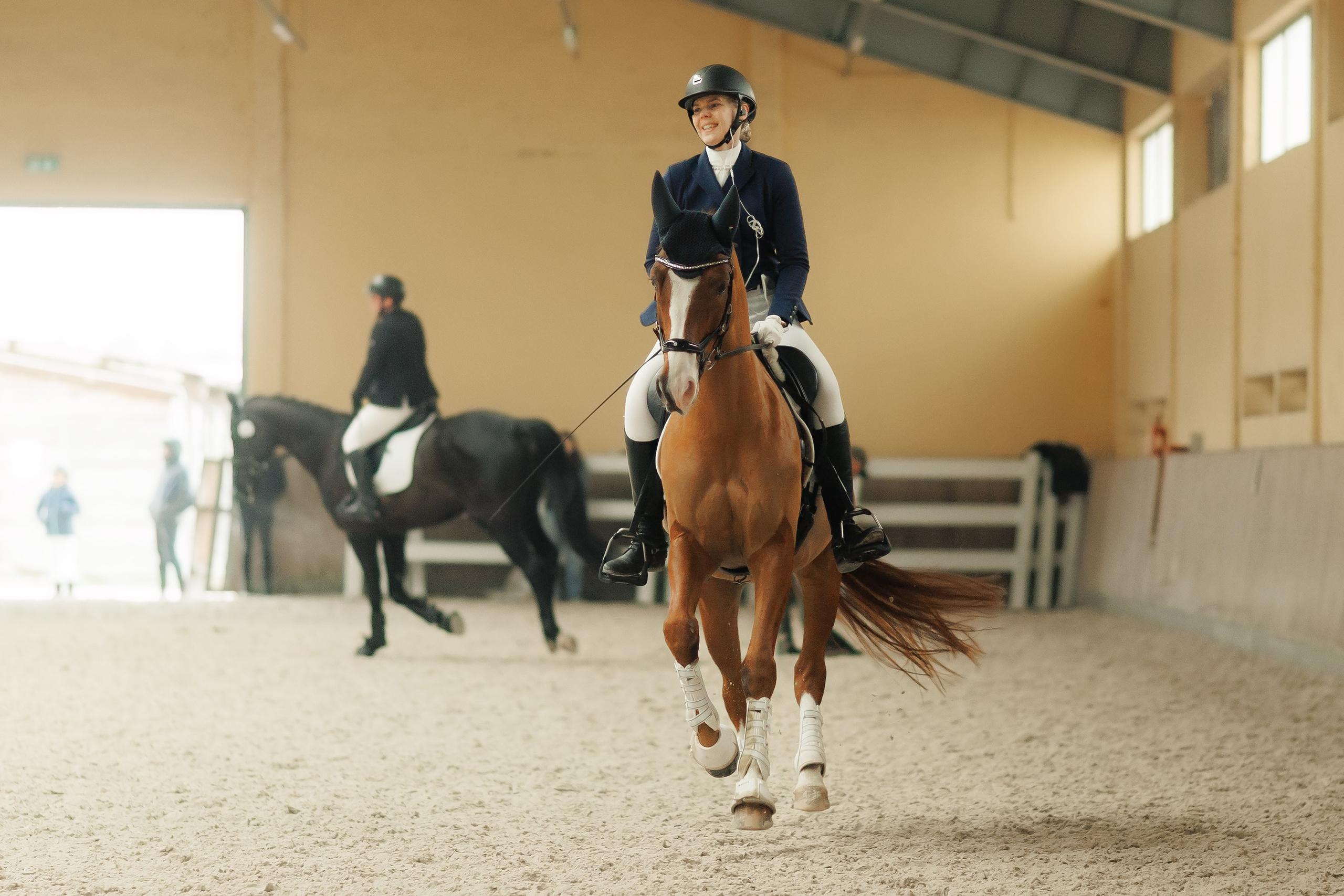 Partynice dressage \ feb'25. Kaja | fotograf we Wrocławiu | ludzie i psy