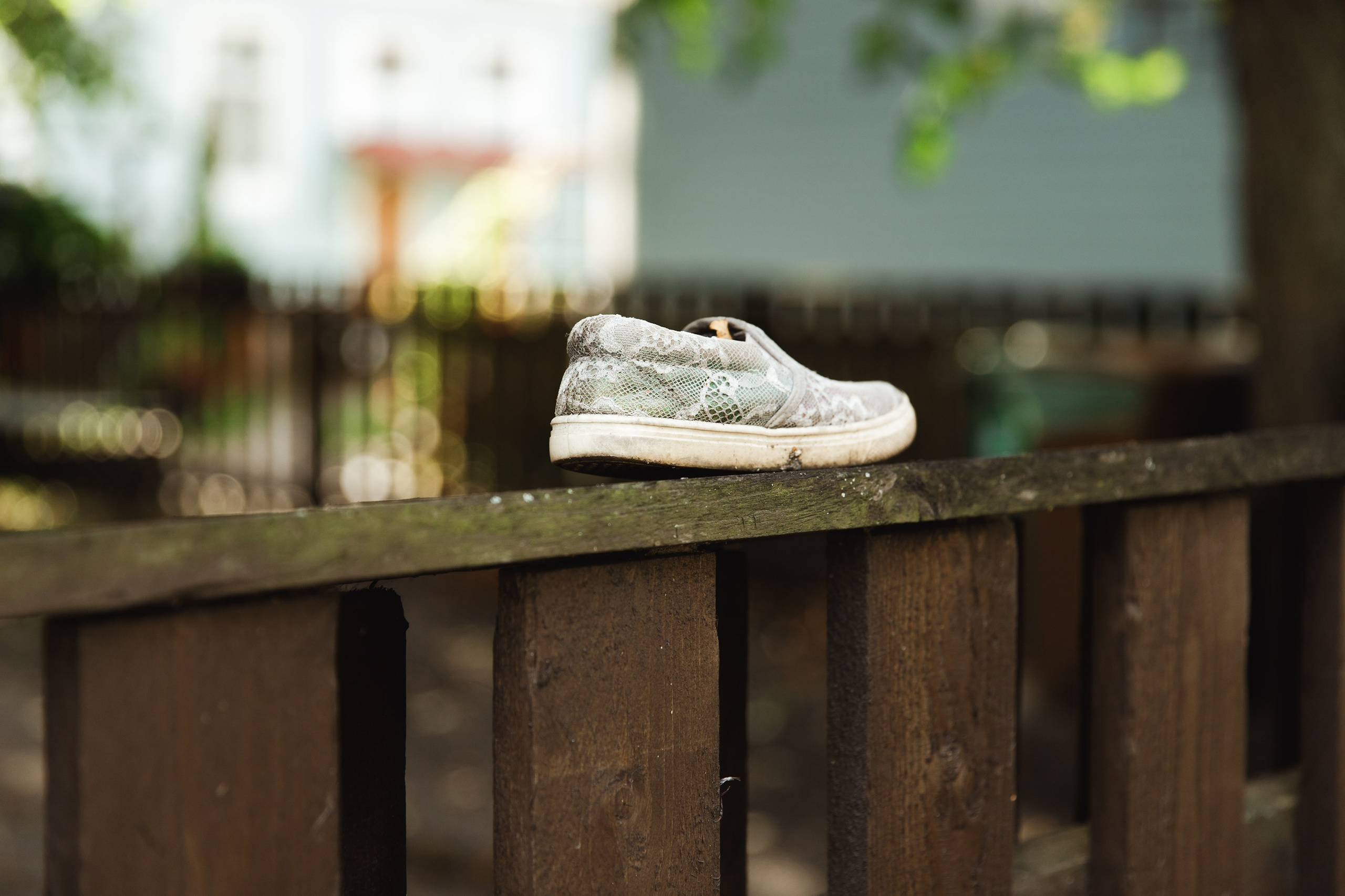 Turku. Kaja | fotograf psów we Wrocławiu