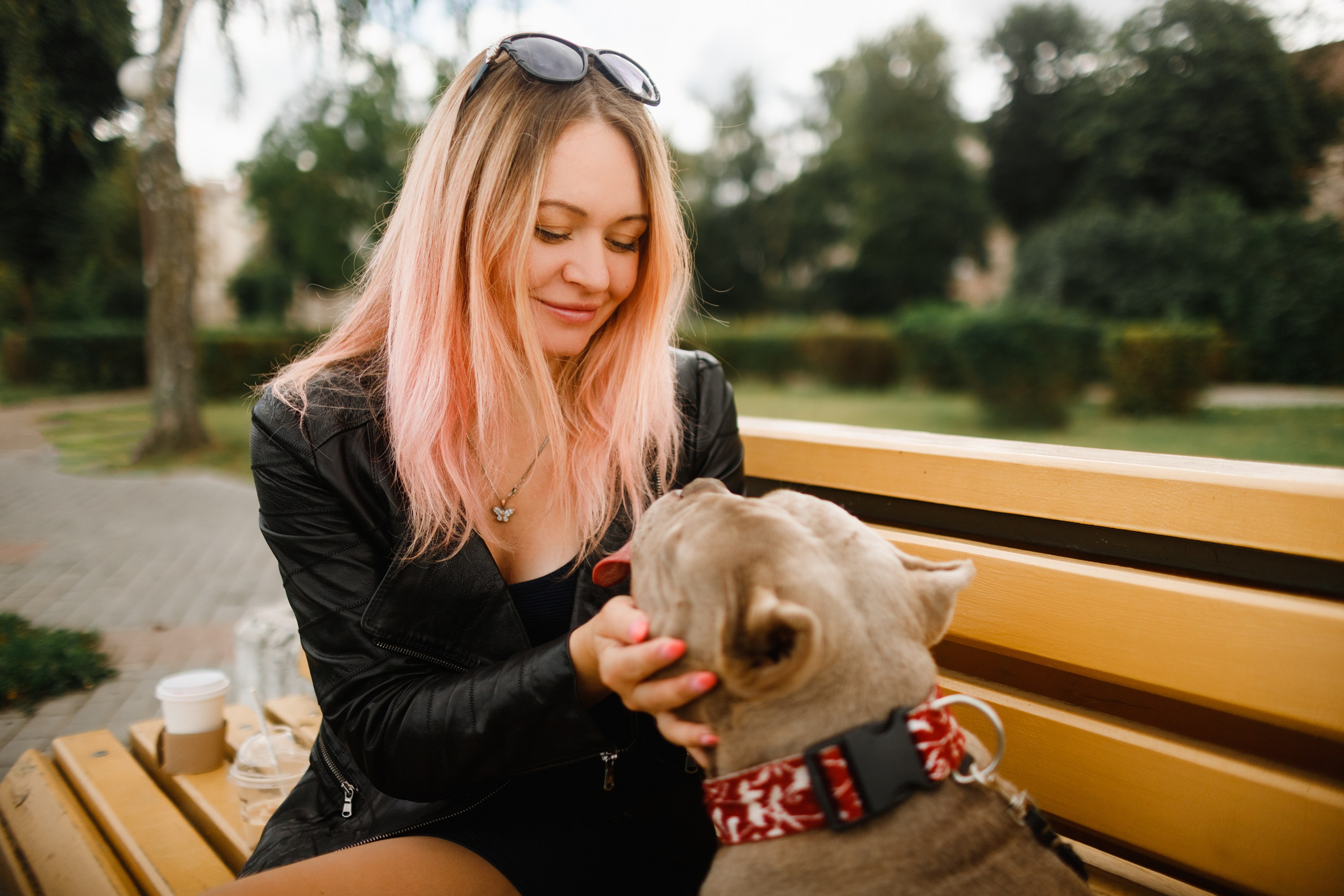 Alesya & her bullies. Kaja | fotograf we Wrocławiu | ludzie i psy