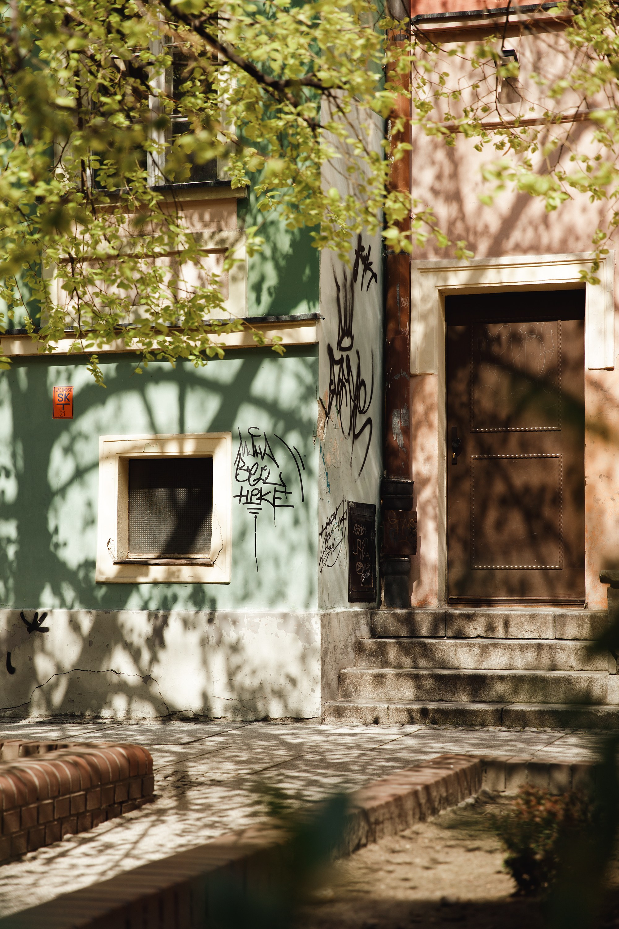 Wroclaw | the best ones. Kaja | fotograf psów we Wrocławiu