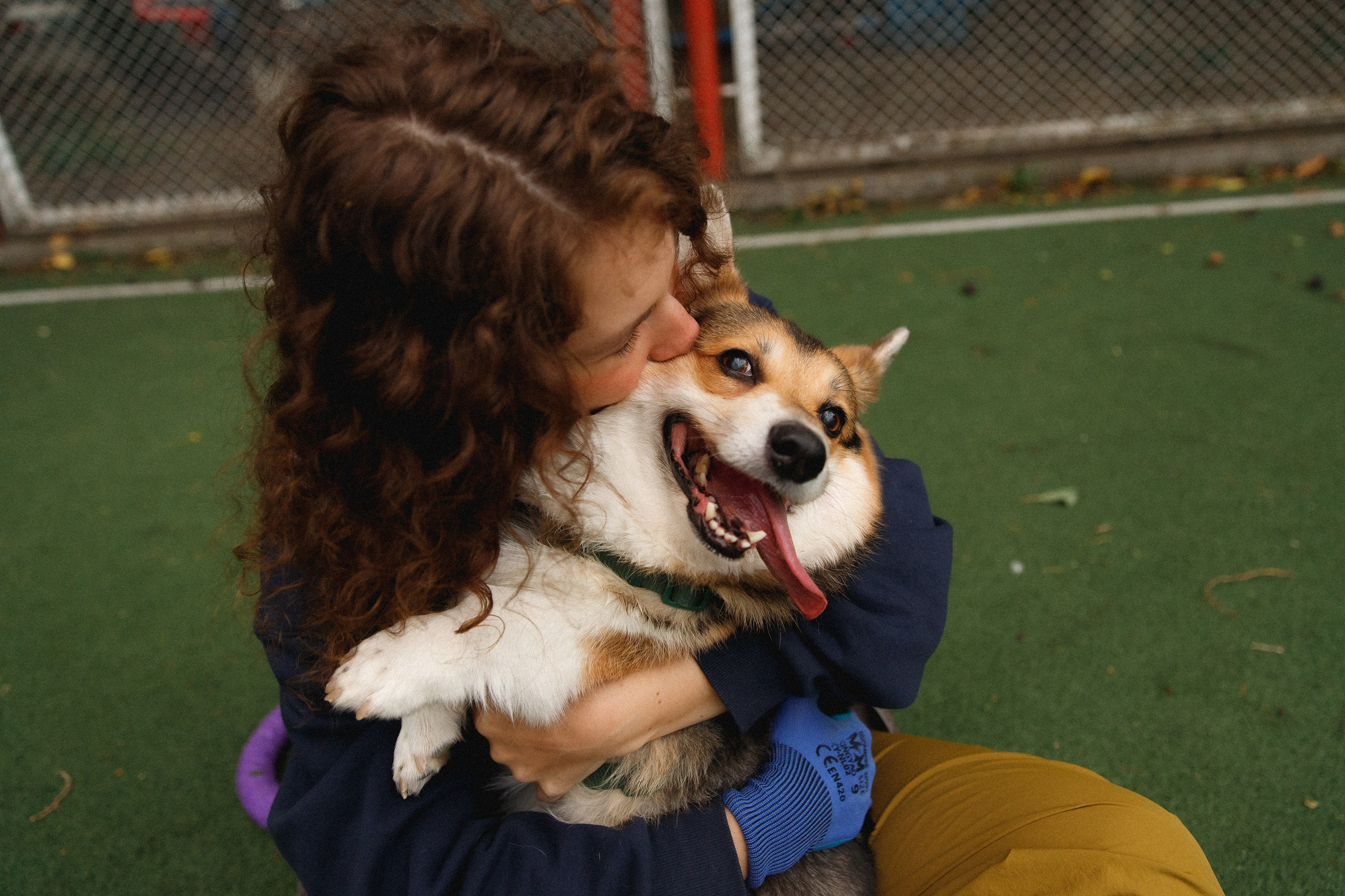 Sasha & Leonid. Kaja | fotograf psów we Wrocławiu