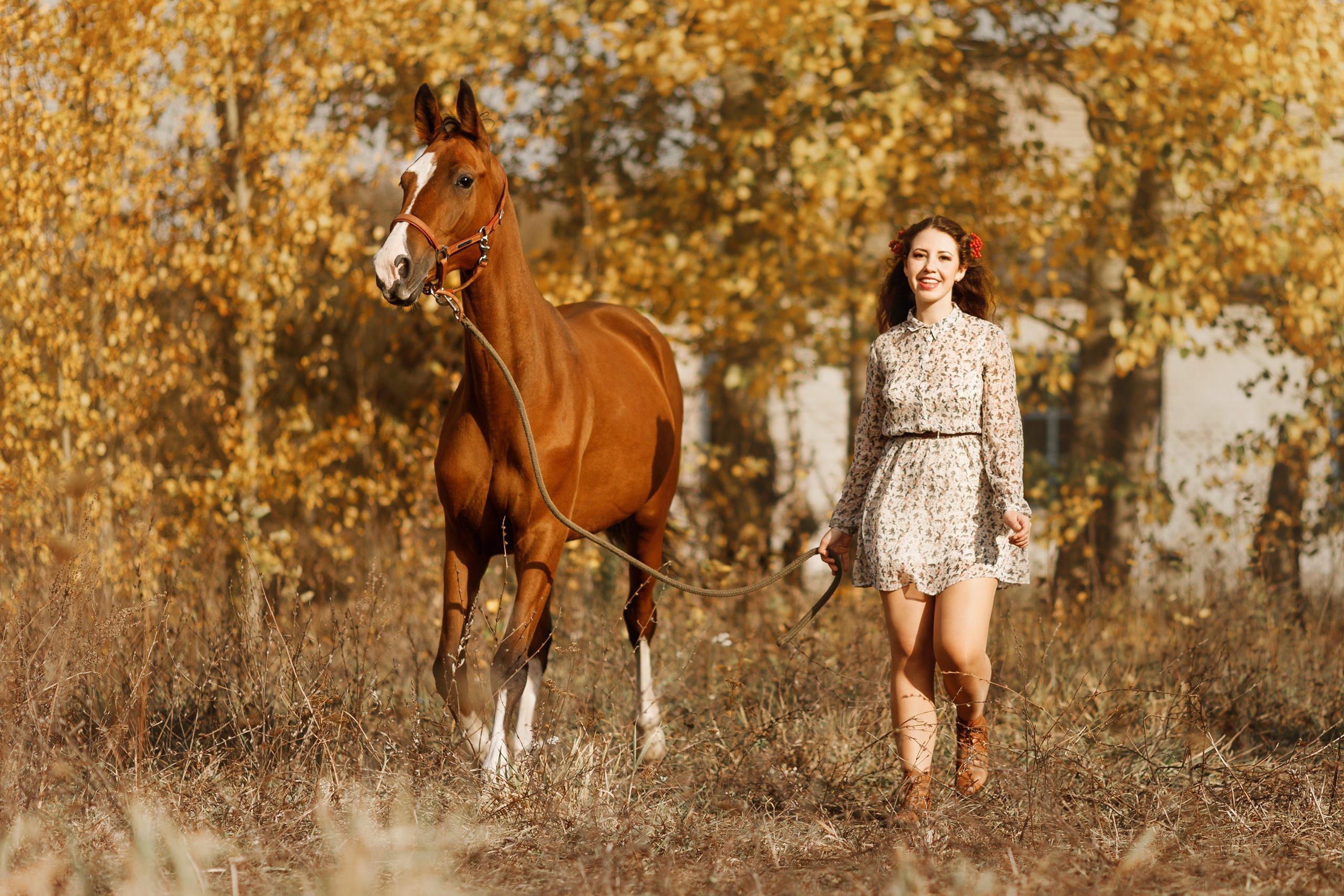 Aibike | autumn. Kaja | fotograf psów we Wrocławiu