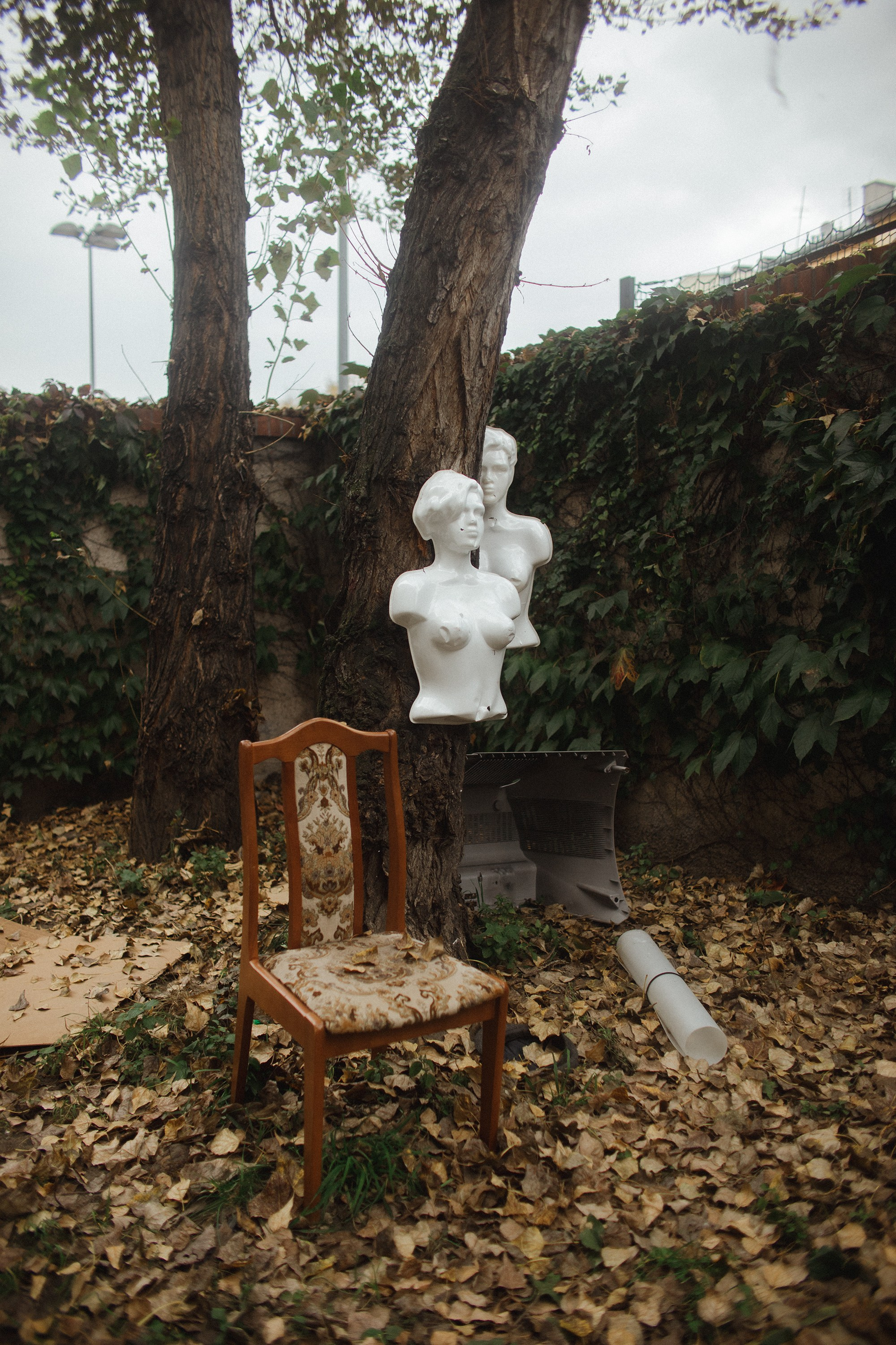 Nastya. Kaja | fotograf psów we Wrocławiu