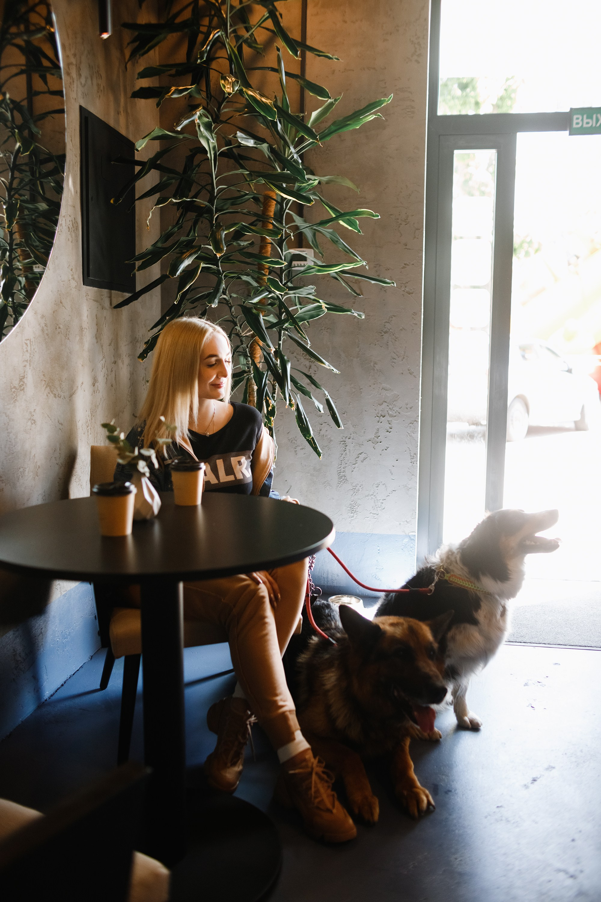 Dog trainer blog content. Kaja | fotograf we Wrocławiu | ludzie i psy