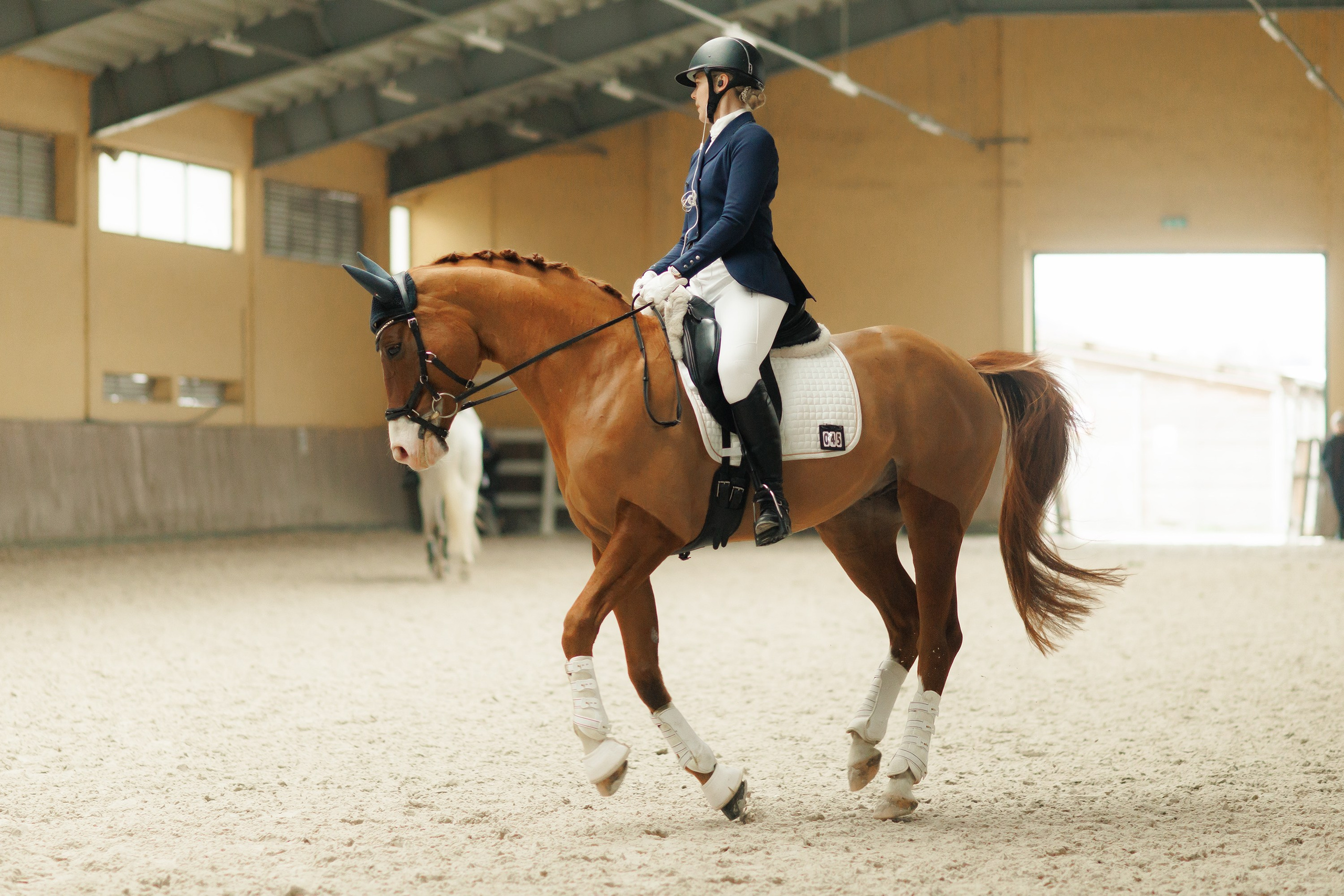 Partynice dressage \ feb'25. Kaja | fotograf we Wrocławiu | ludzie i psy