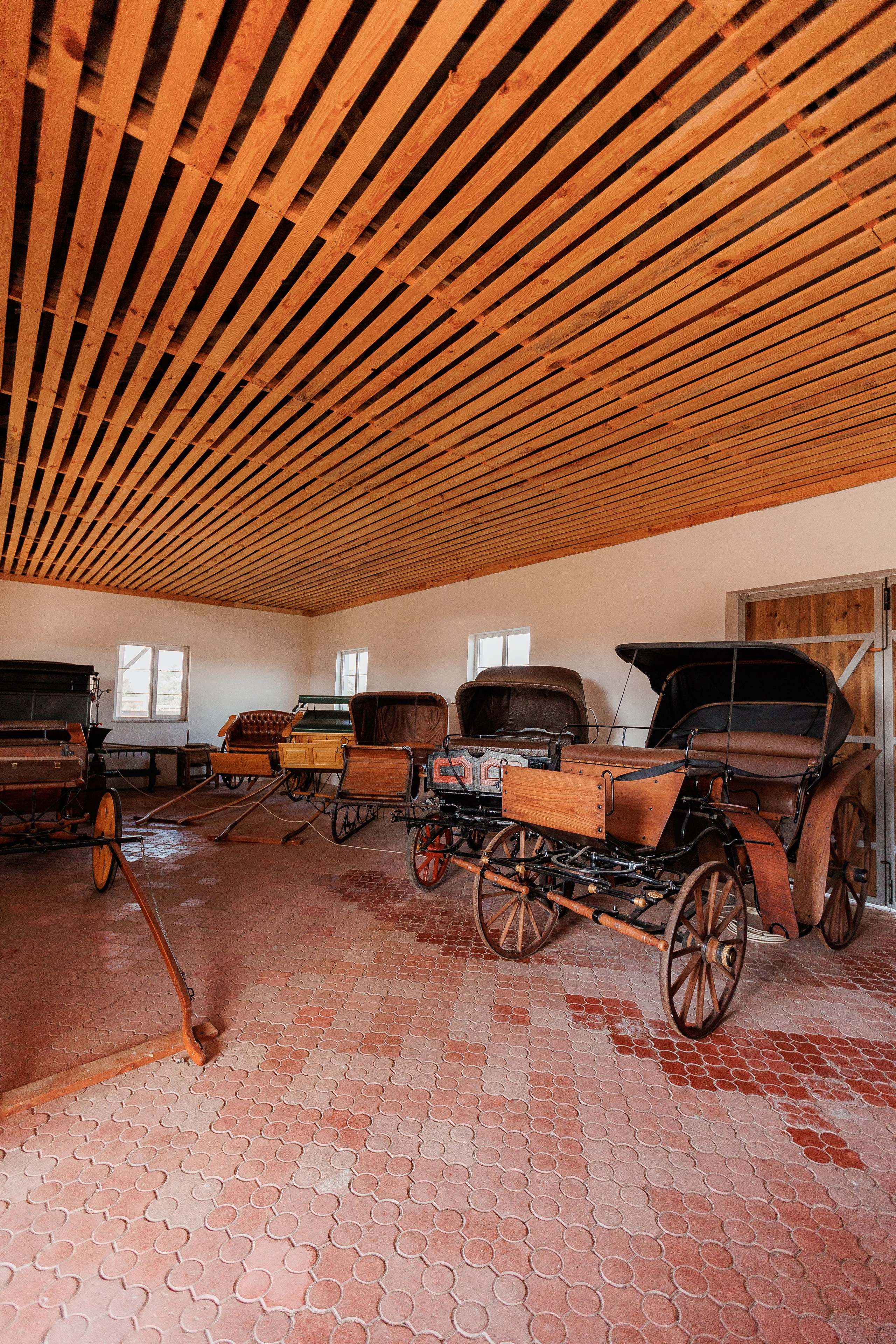 Екопарк Аміла. Ірина Терещук