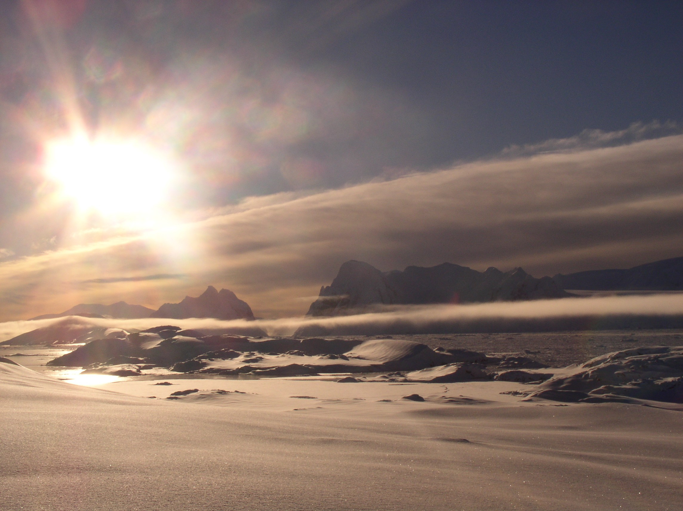 ANTARCTICA. Reportage concert portrait photography in the San Francisco Bay Area