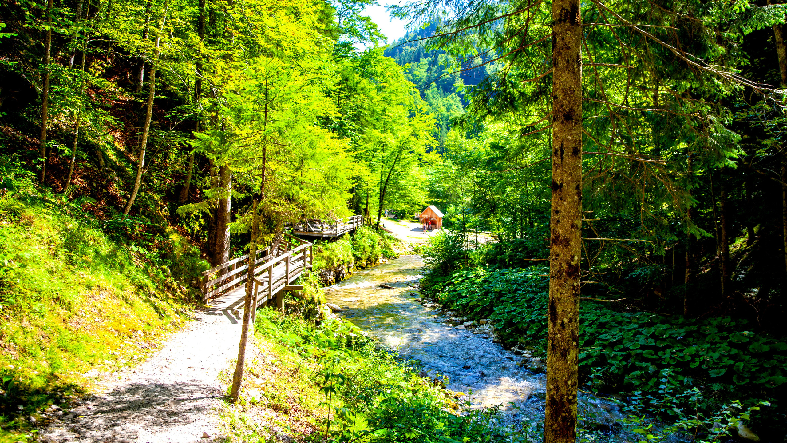 194.Mendlingtal.Austria.19.8.2025. Путешествия в формате 360......