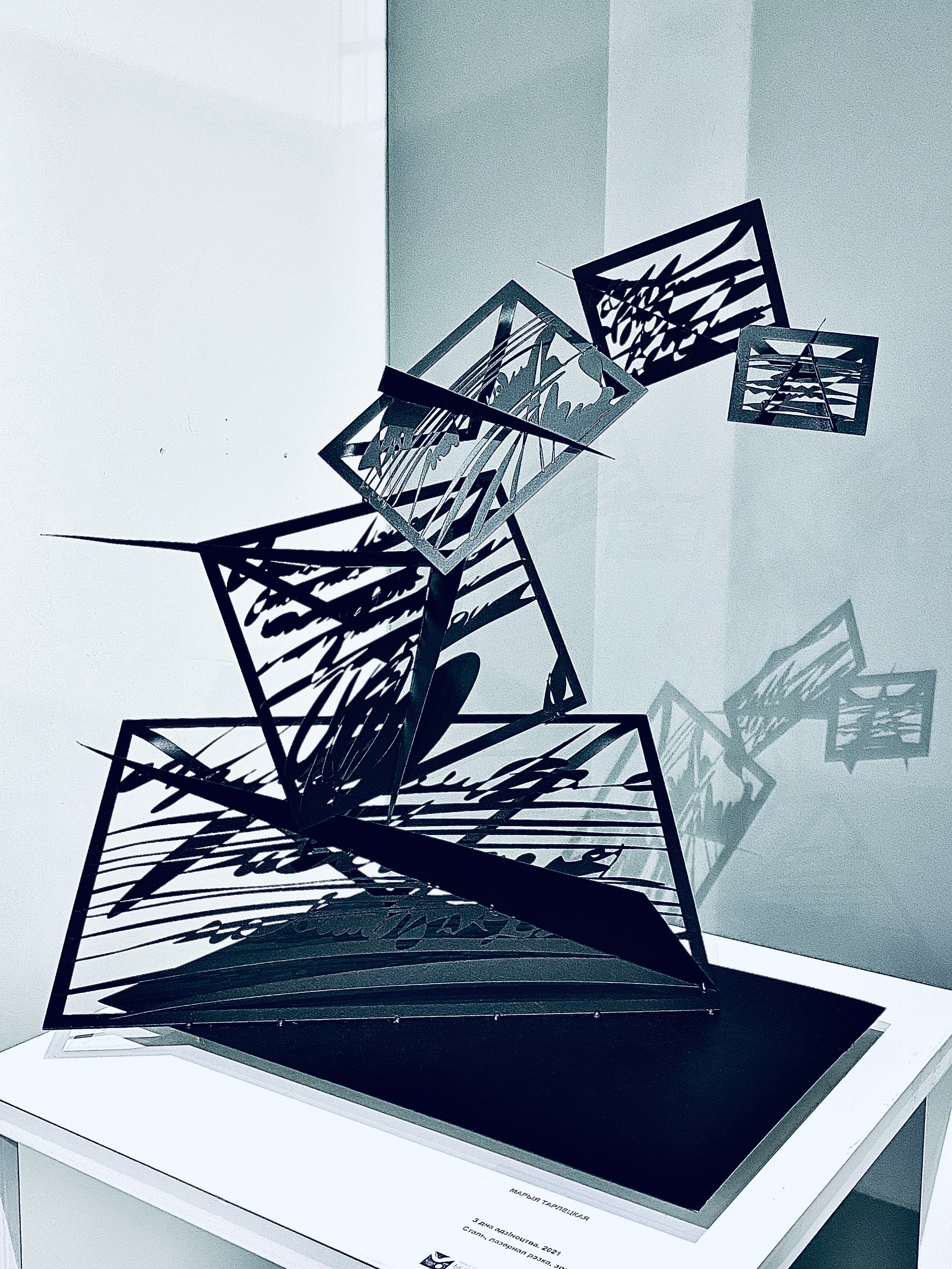 Творческие проекты Марии Тарлецкой. Скульптор кузнец Мария Тарлецкая