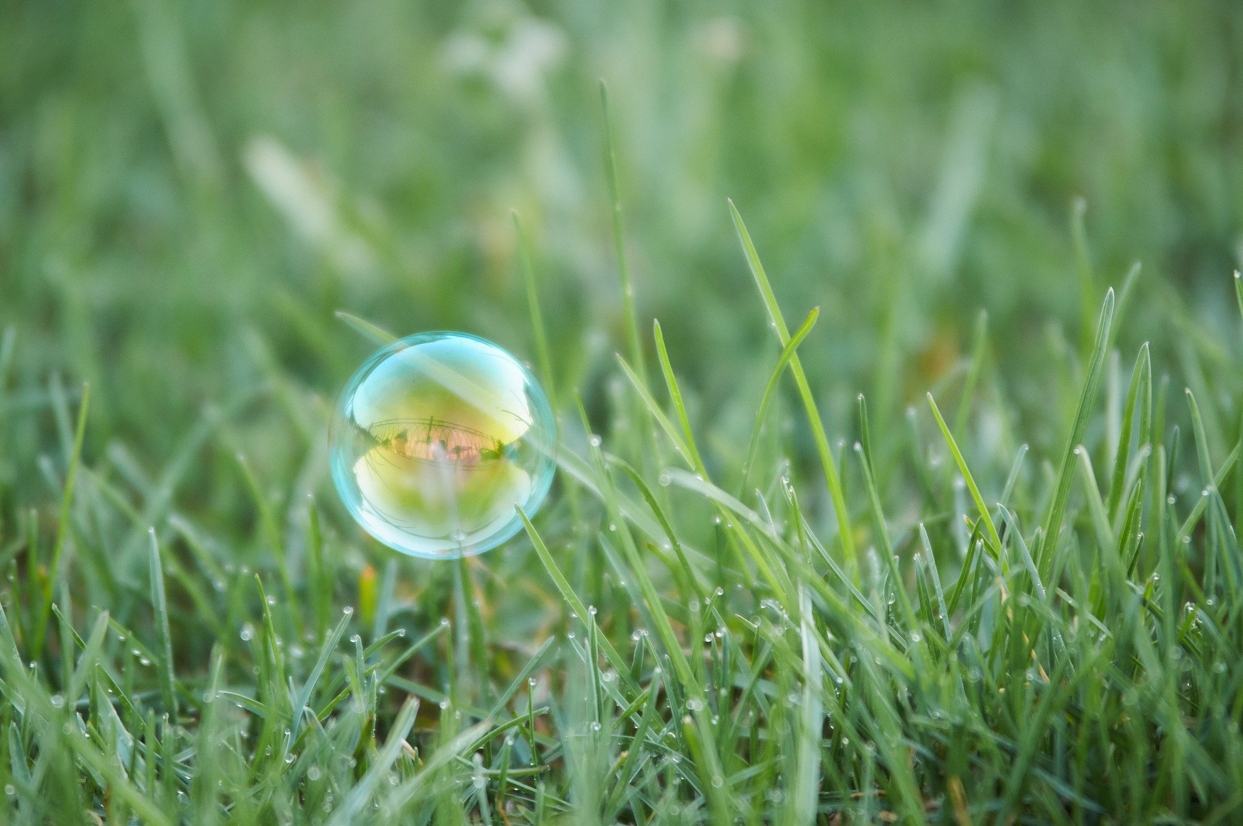 Close-Up. Yuri Popkov | Photographer