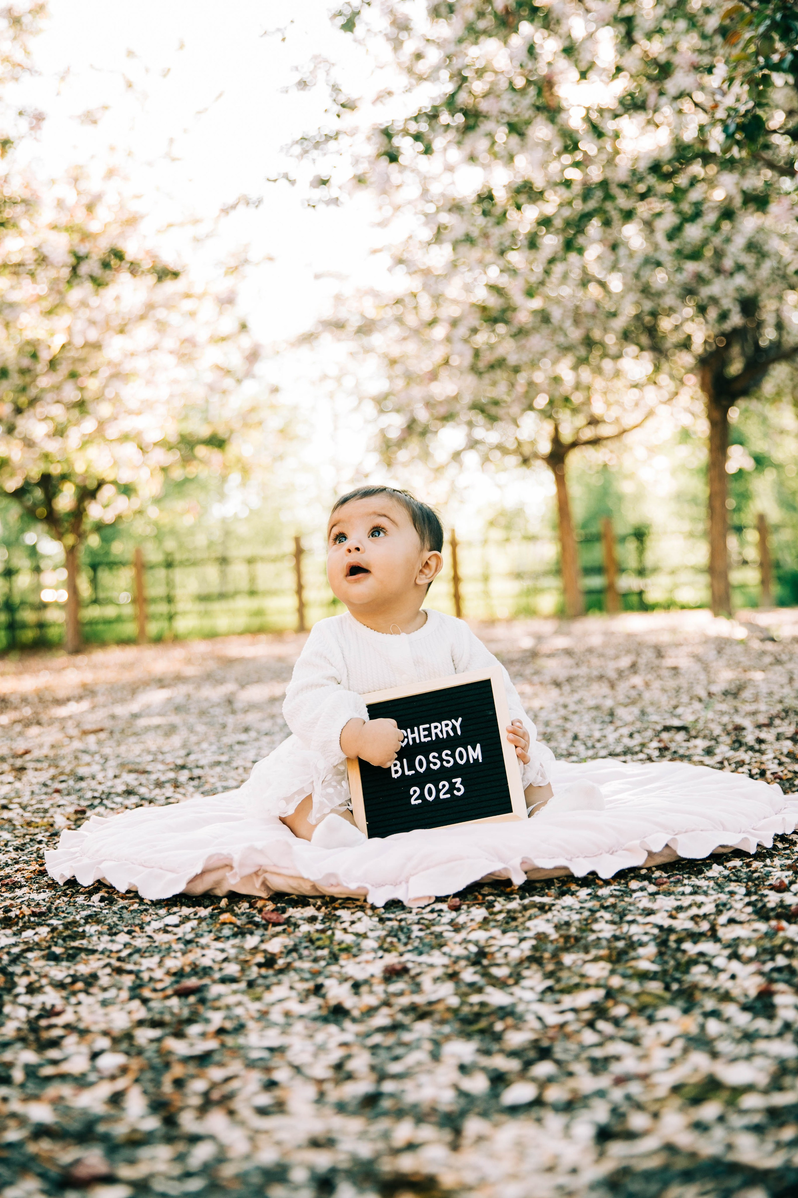Cherry Blossom — Nabeel Family. Ching Li Photography