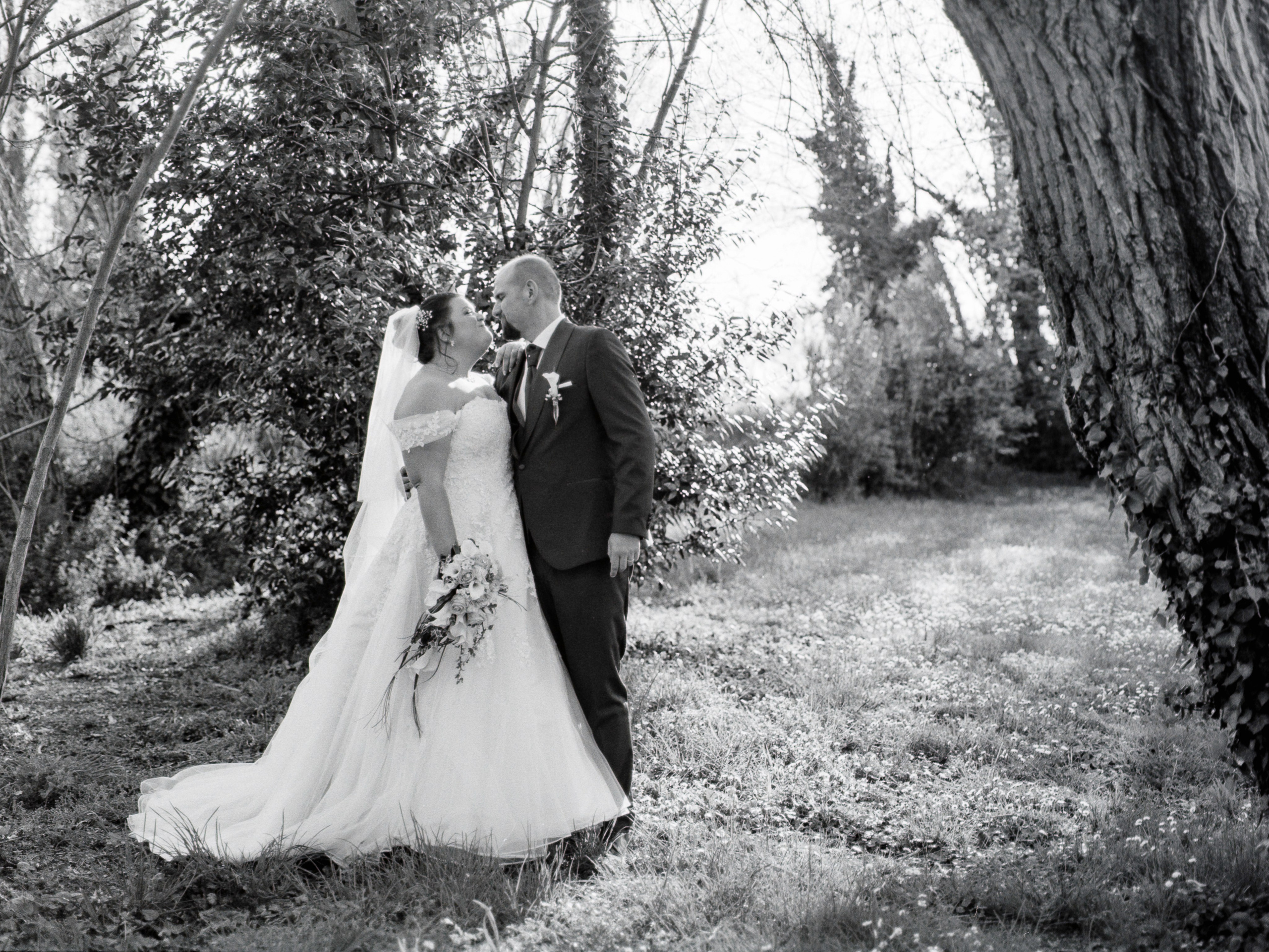 Medio formato - Mamiya. Fotografia e video