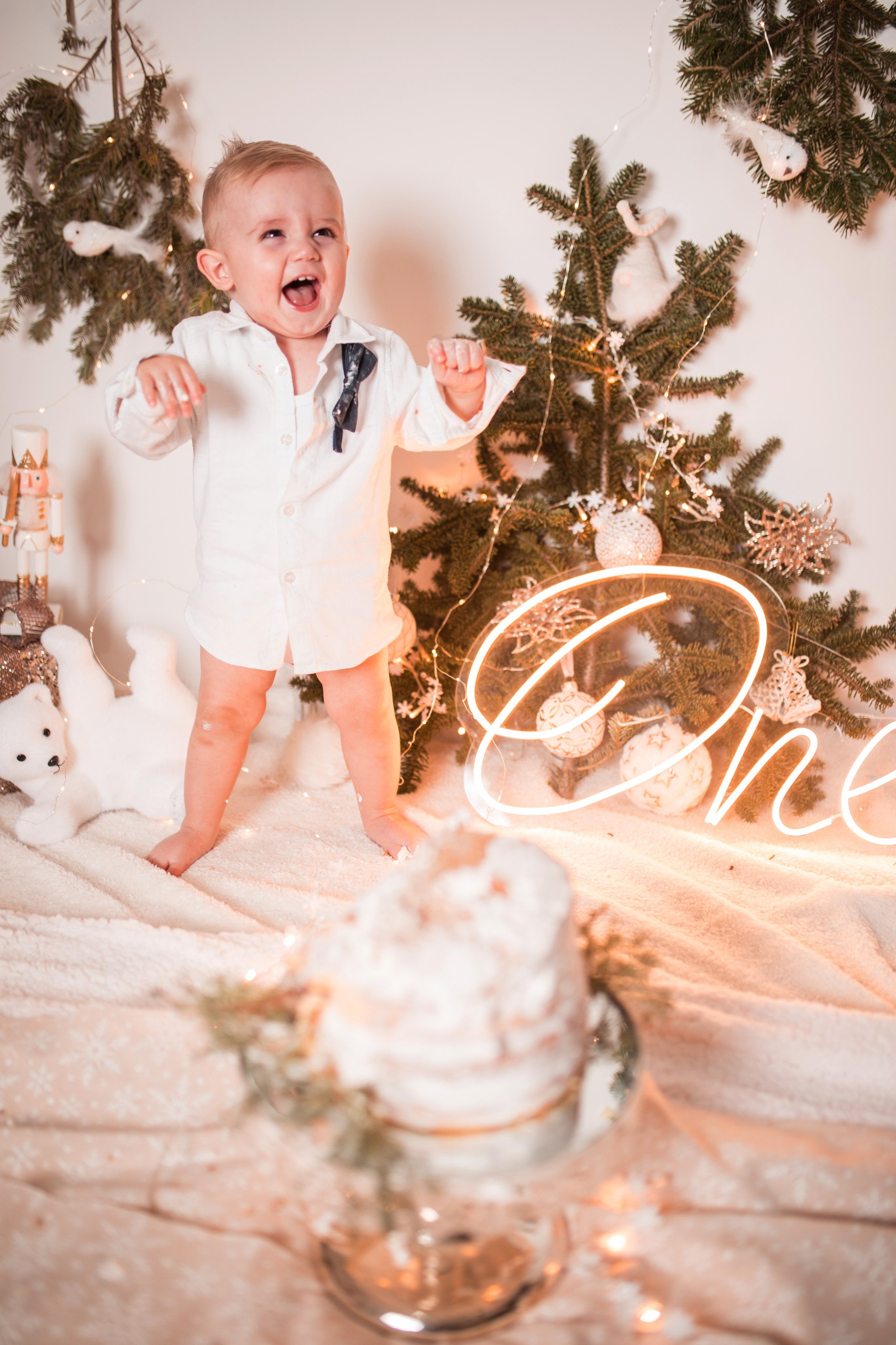 ILIJA 1TH BIRTHDAY SMASH CAKE. HOME