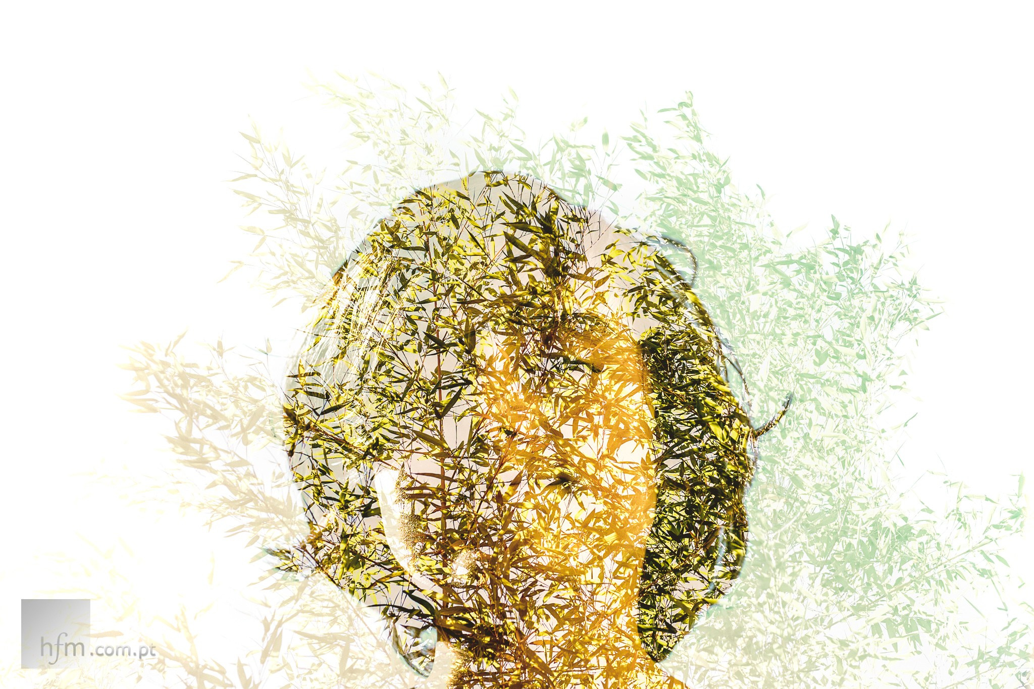 Portrait. Hfm photo+art