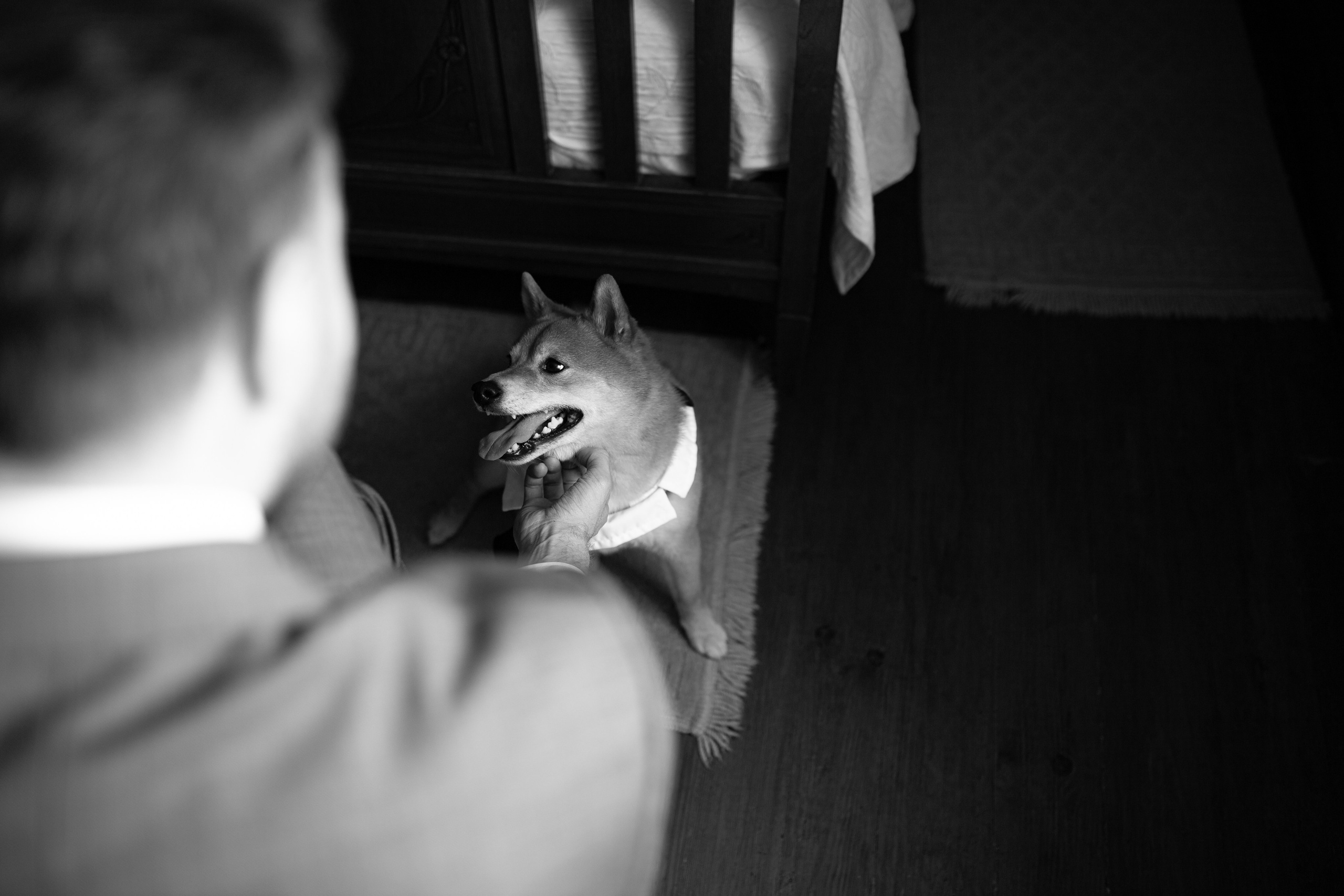 Casamento Gabriella e Gabriel. Davi Valente